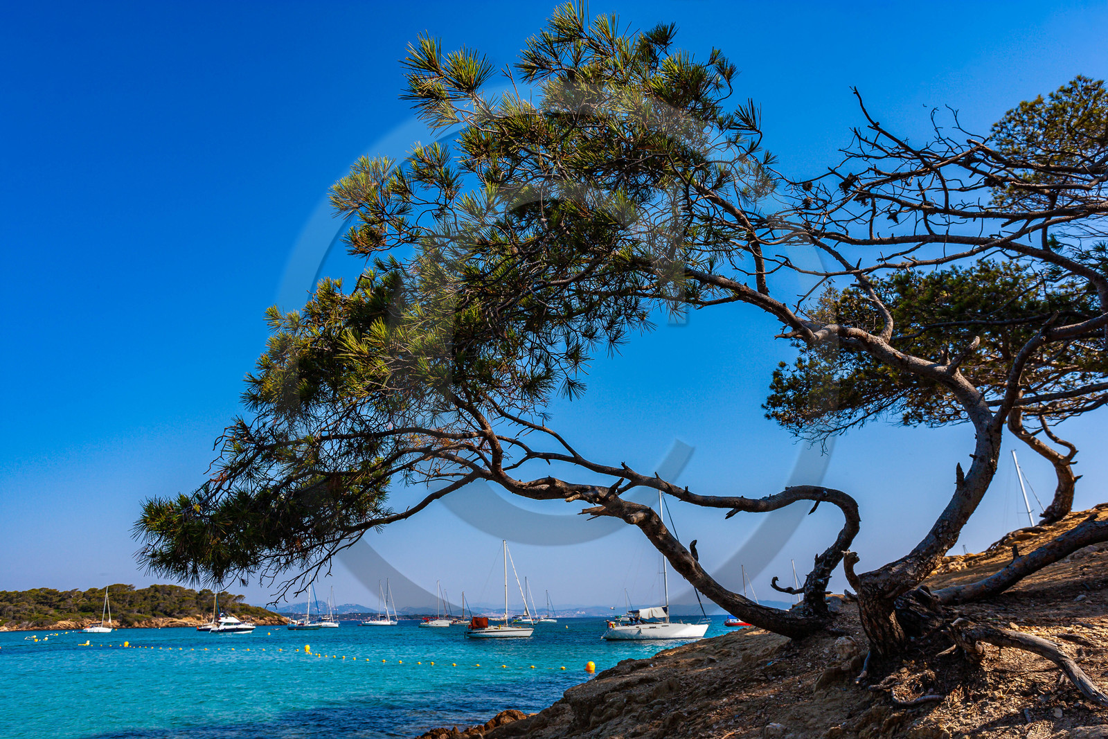 Parc national de Port-Cros