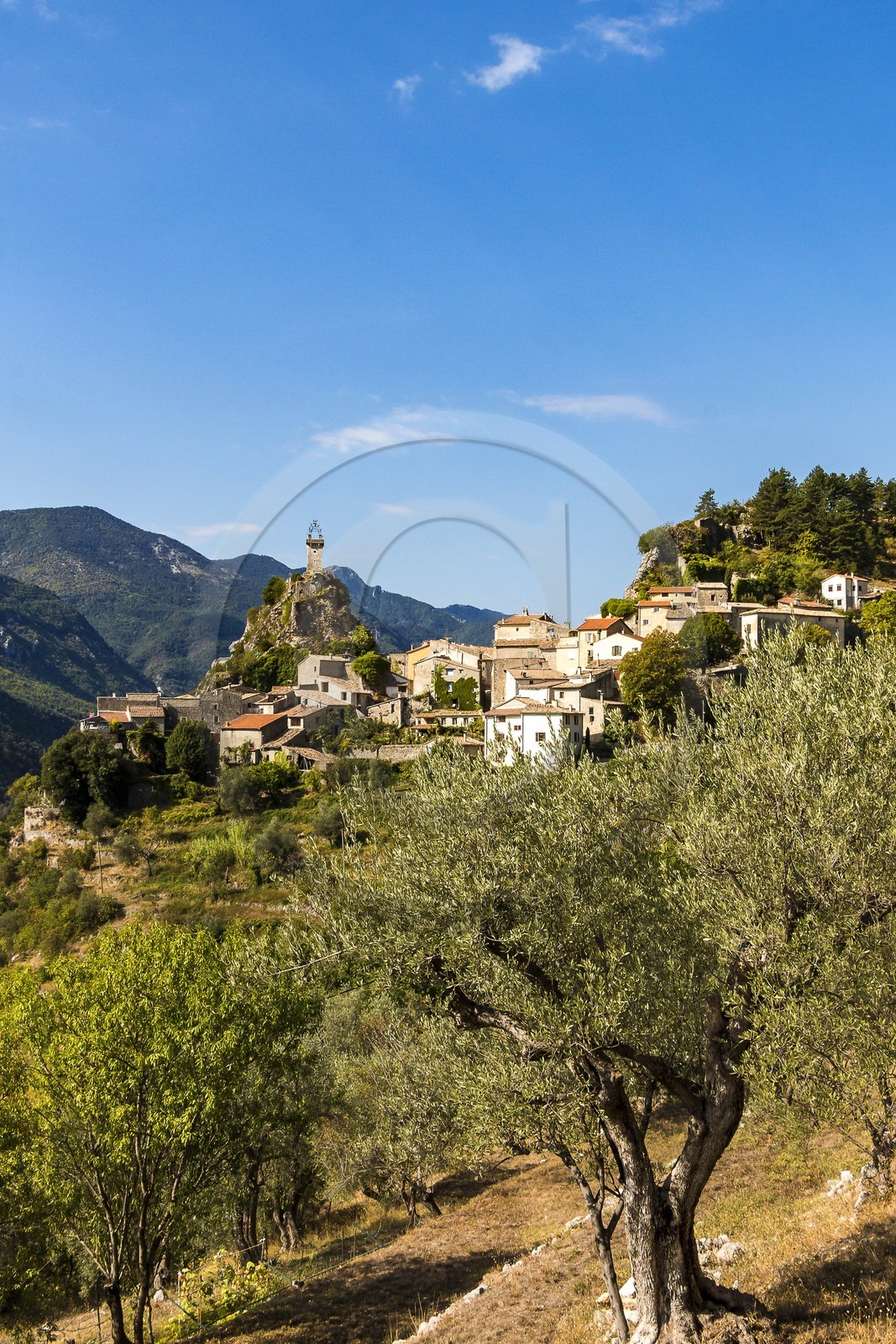 Estéron, Sigale
