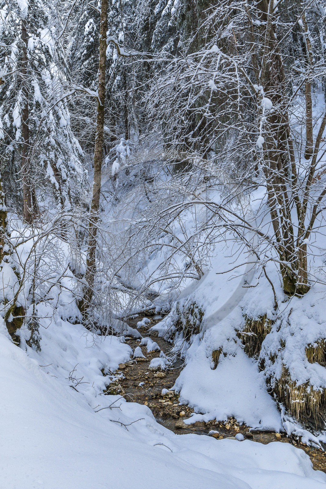 ENS de l'Isère, Les Ecouges ENS de l'Isère, Les Ecouges