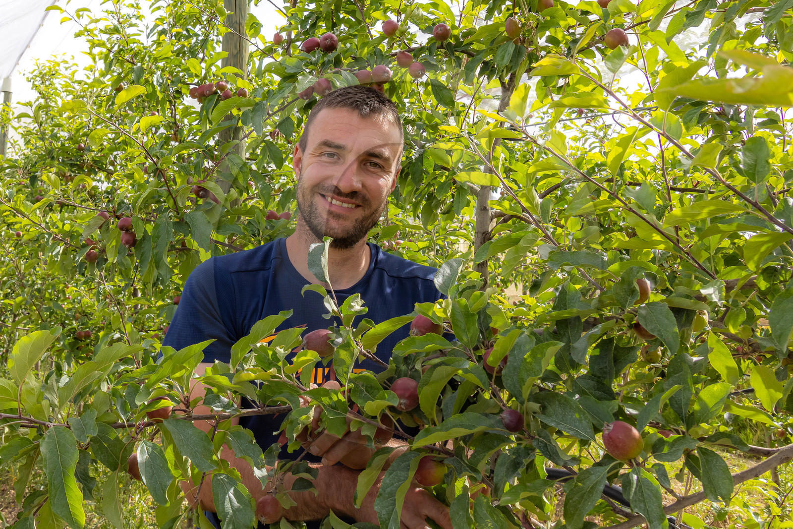 Melve, Gaec de la Maurelle, Adrien Megy