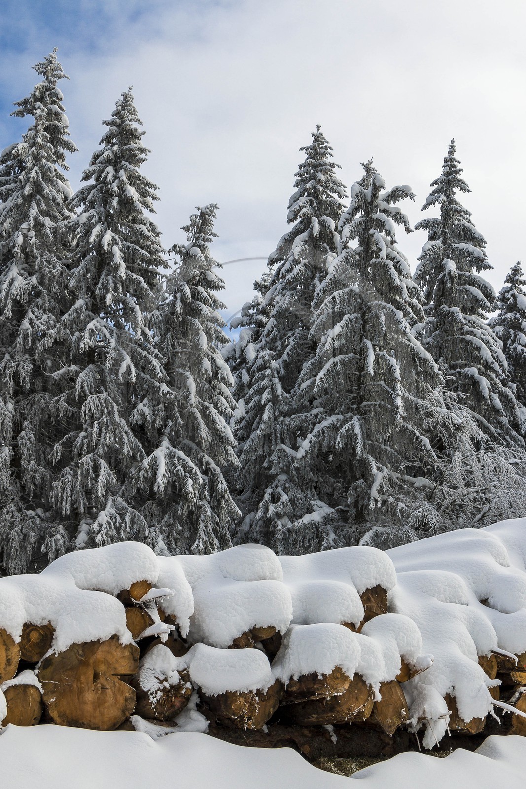 ENS de l'Isère, Les Ecouges ENS de l'Isère, Les Ecouges