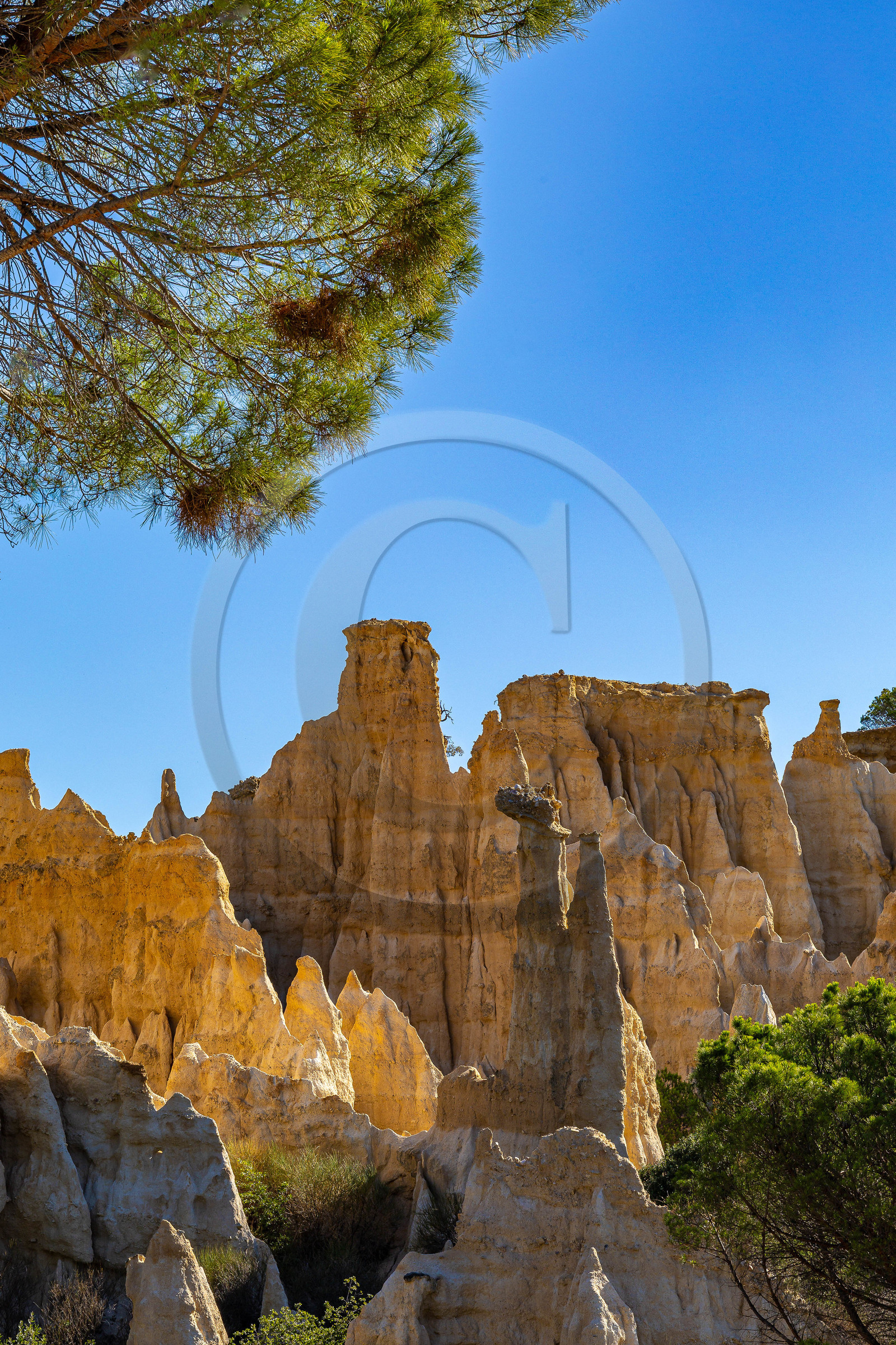 Orgues d'Ille-sur-Têt