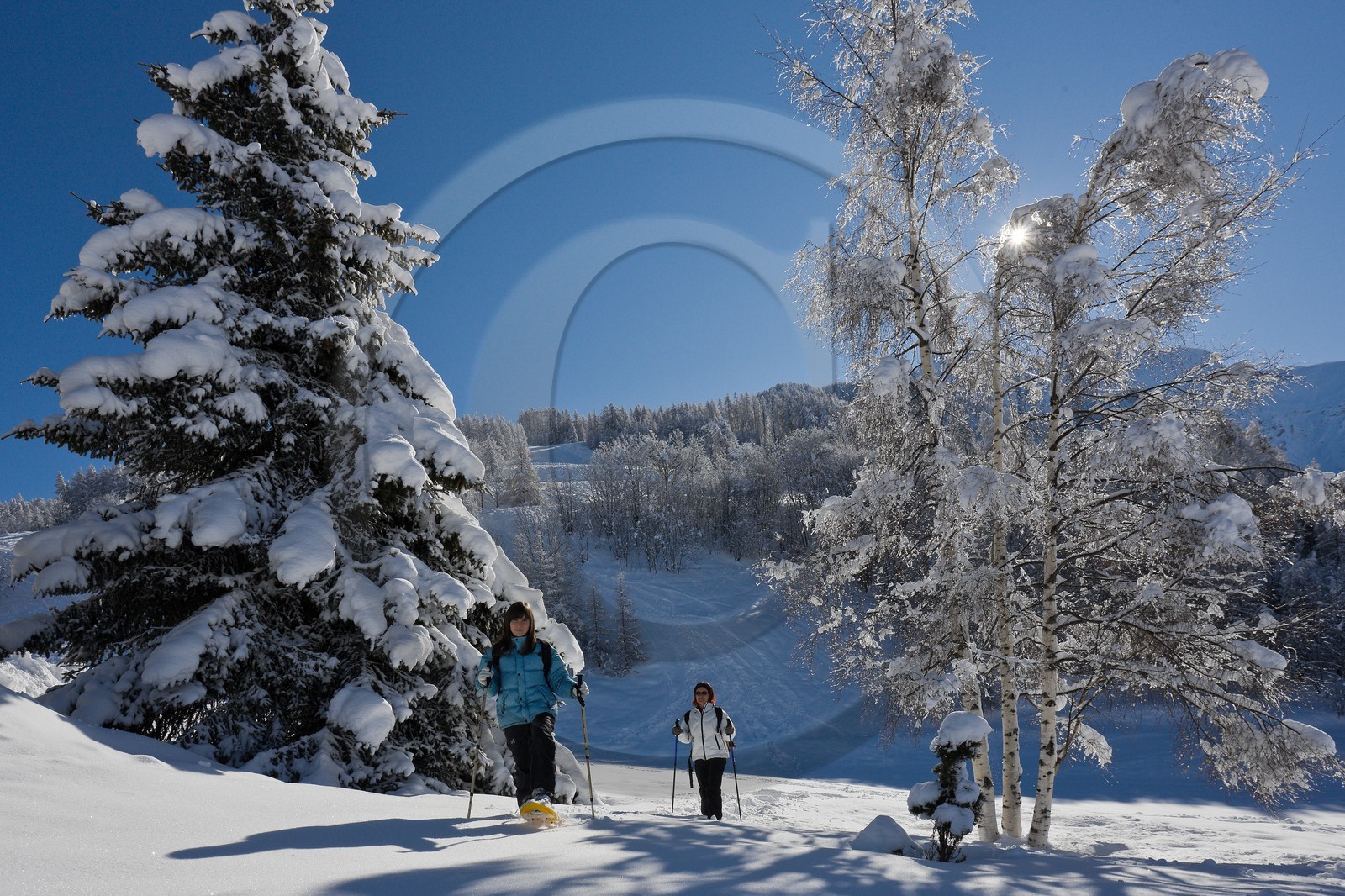 Randonnée raquettes