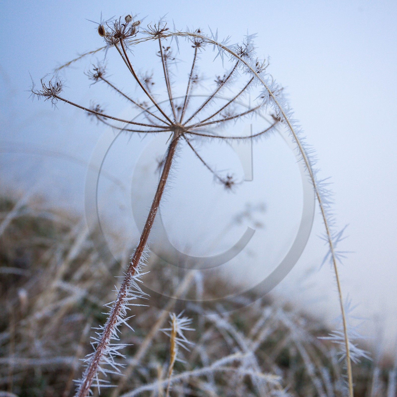 Vallée du Valgaudemar
