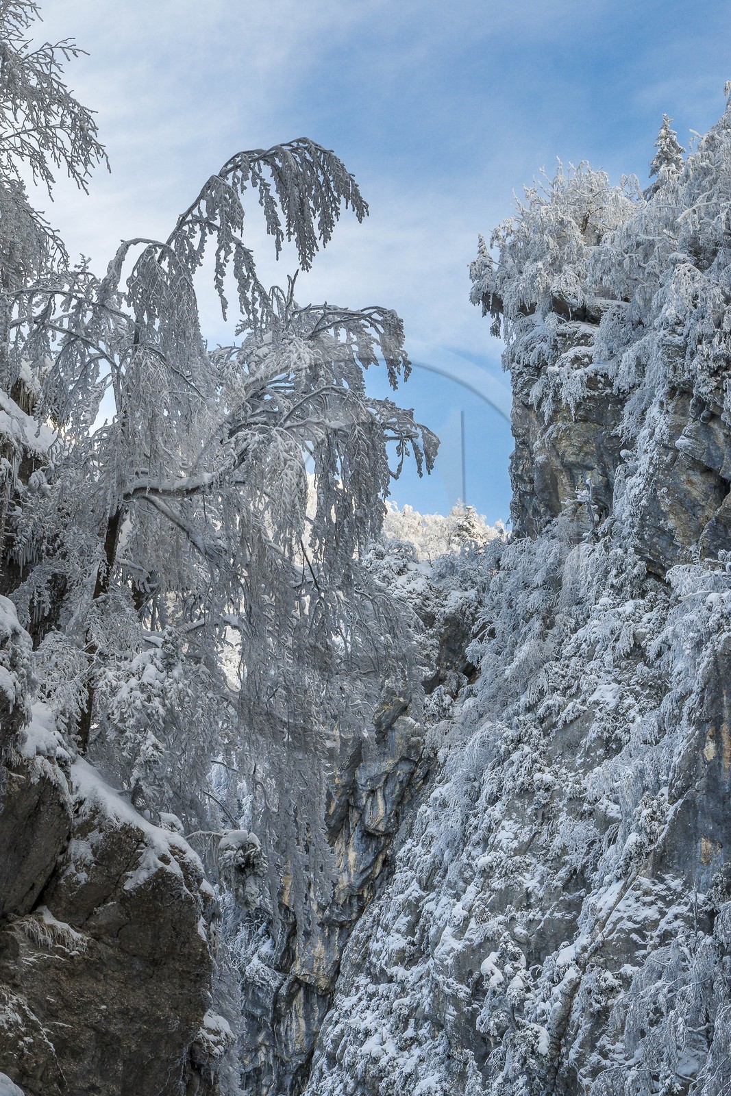 ENS de l'Isère, Les Ecouges ENS de l'Isère, Les Ecouges