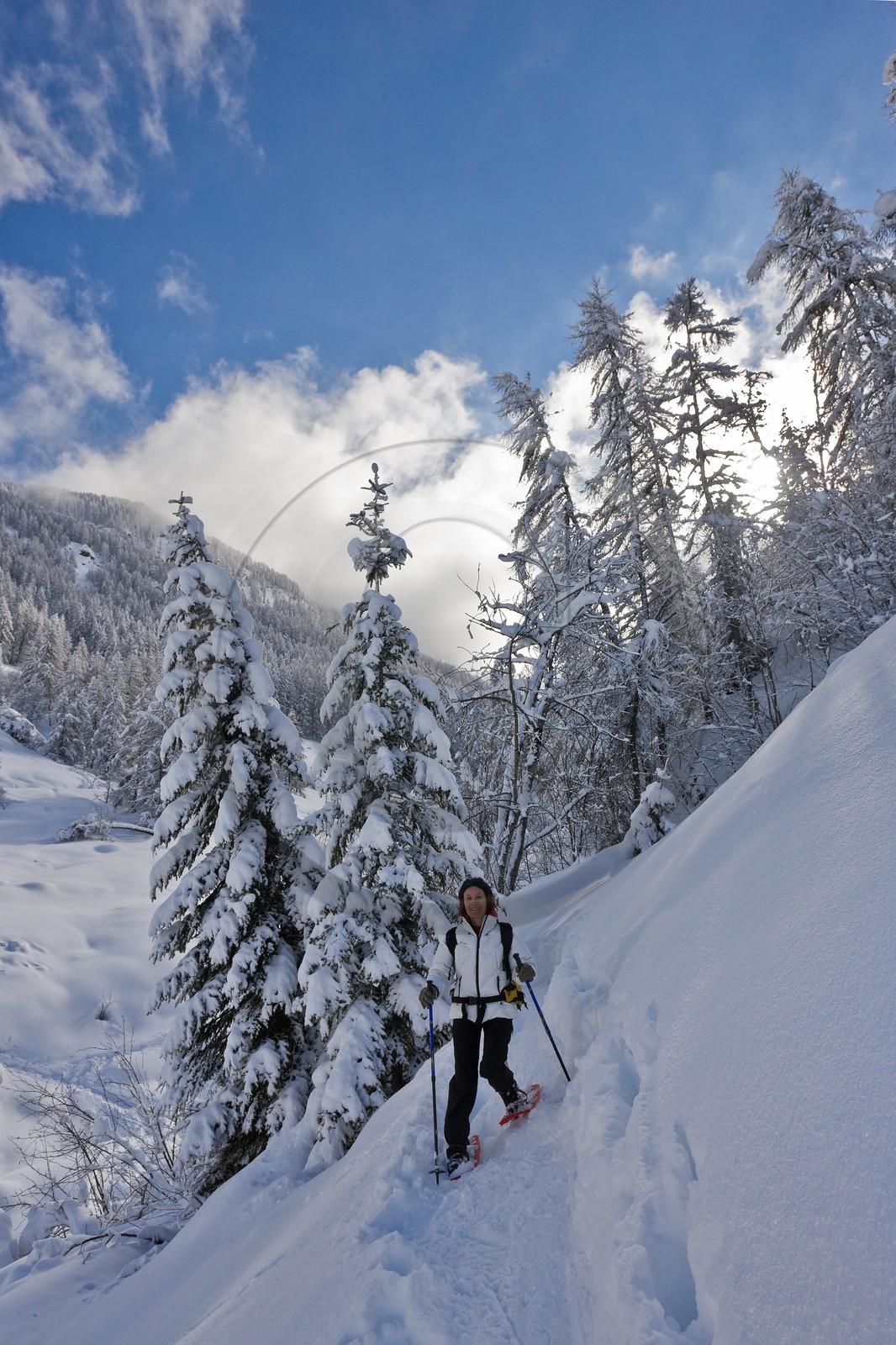 Randonnée raquettes