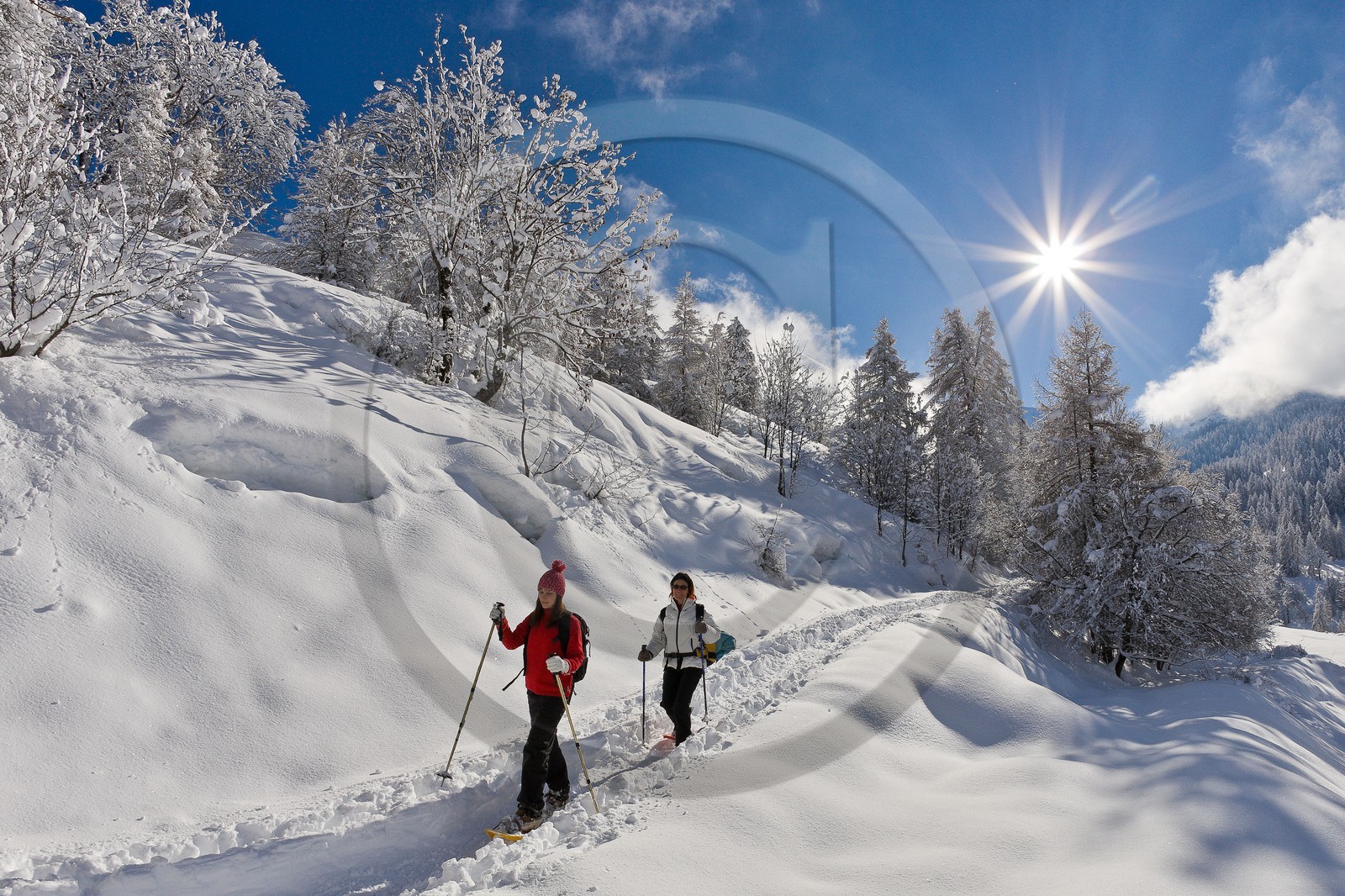 Randonnée raquettes