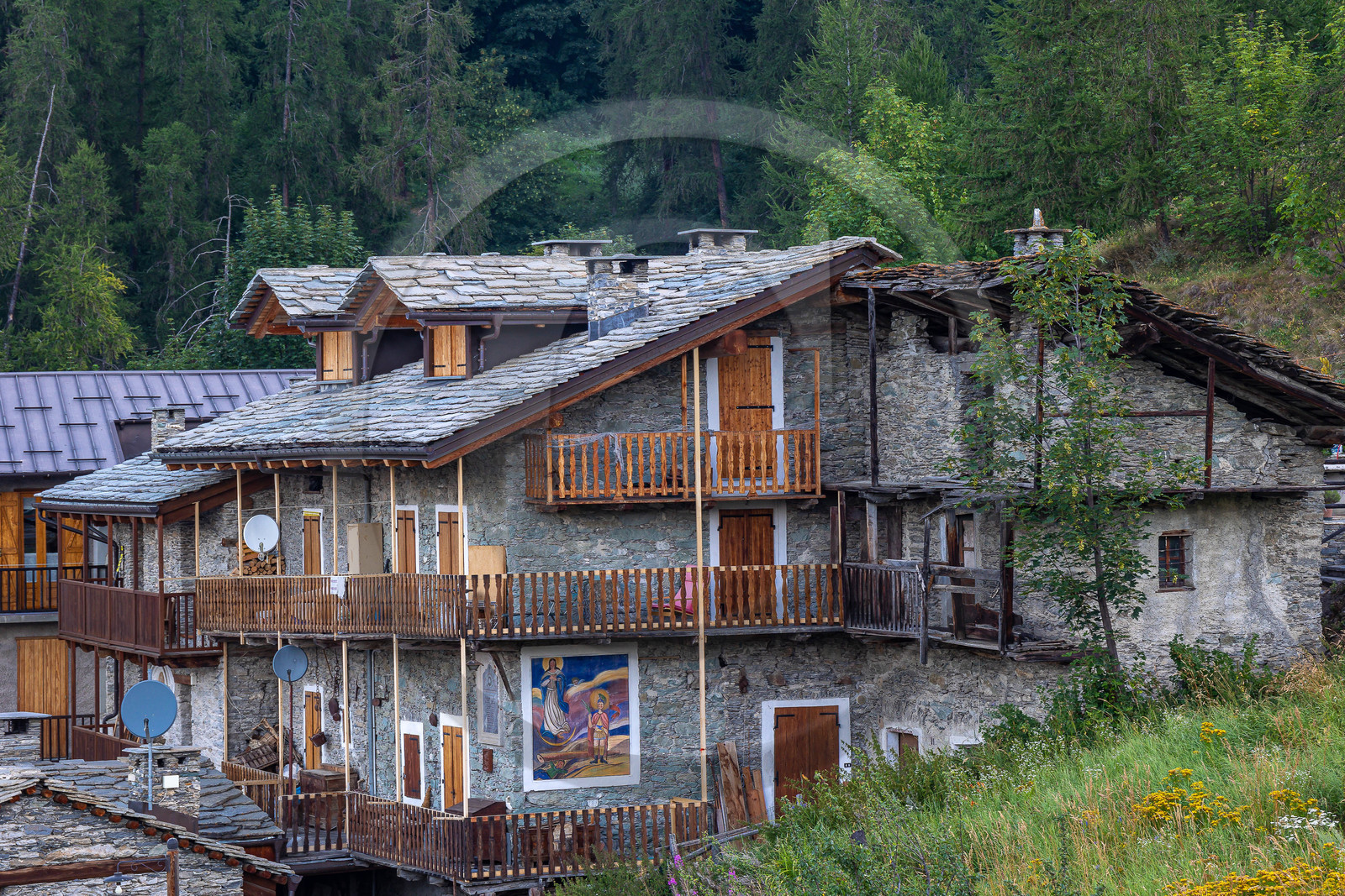 Valle Maira, Elva