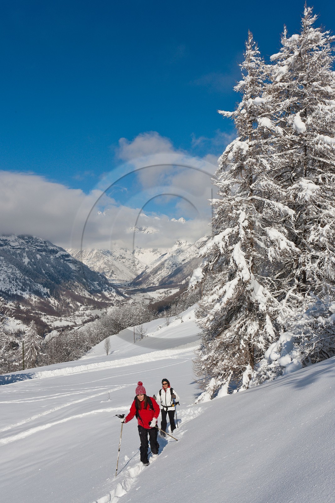 Randonnée raquettes