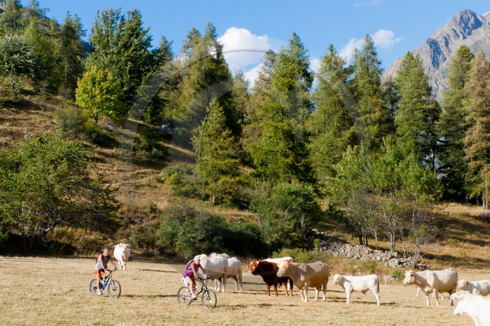 Randonnée VTT