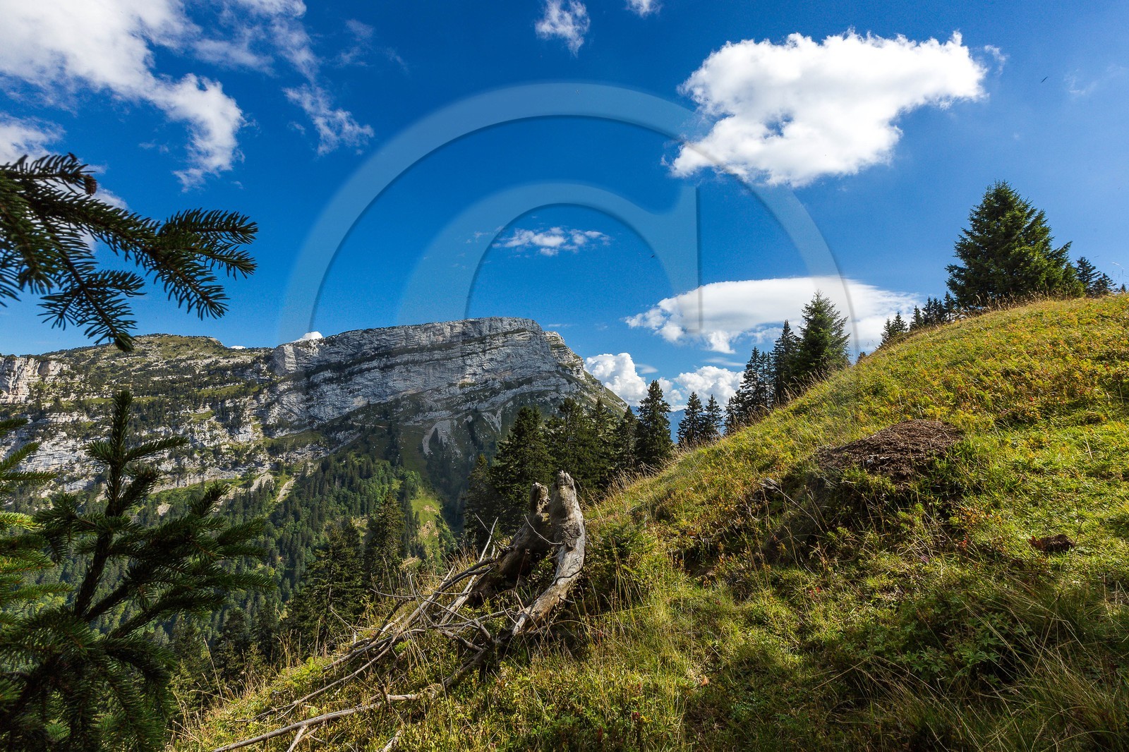 Espace naturel sensible de l'Isère, Col du Coq