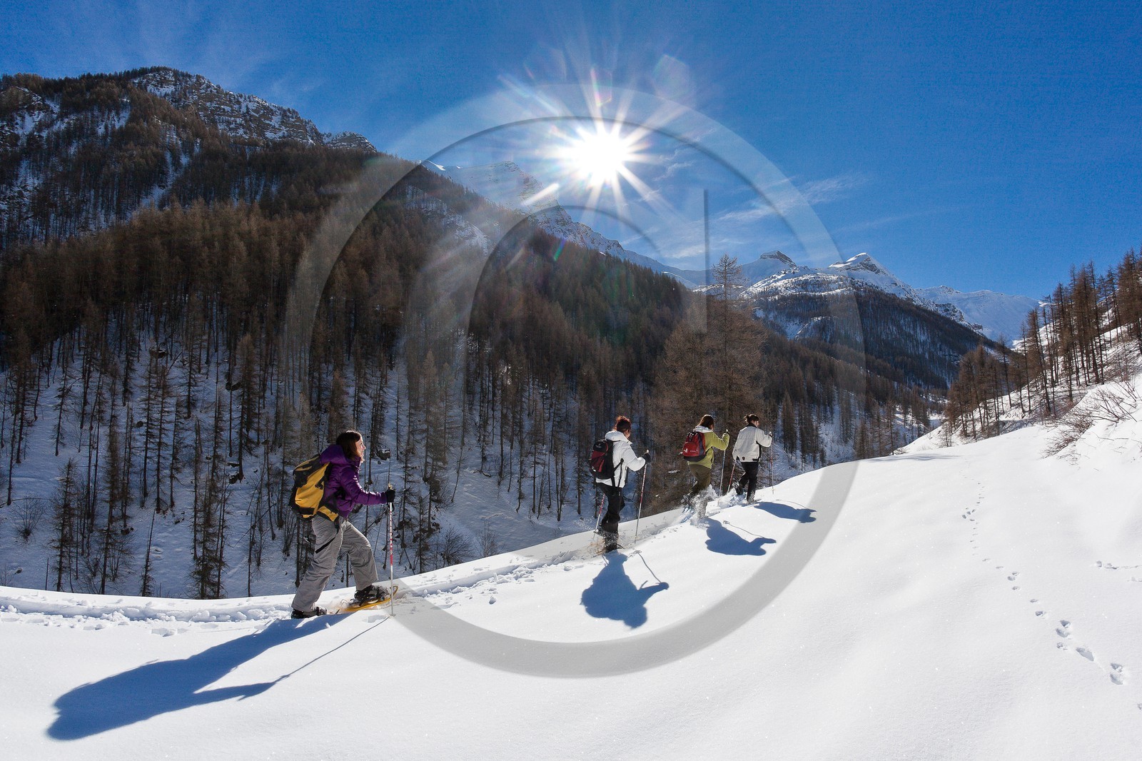 Randonnée raquettes