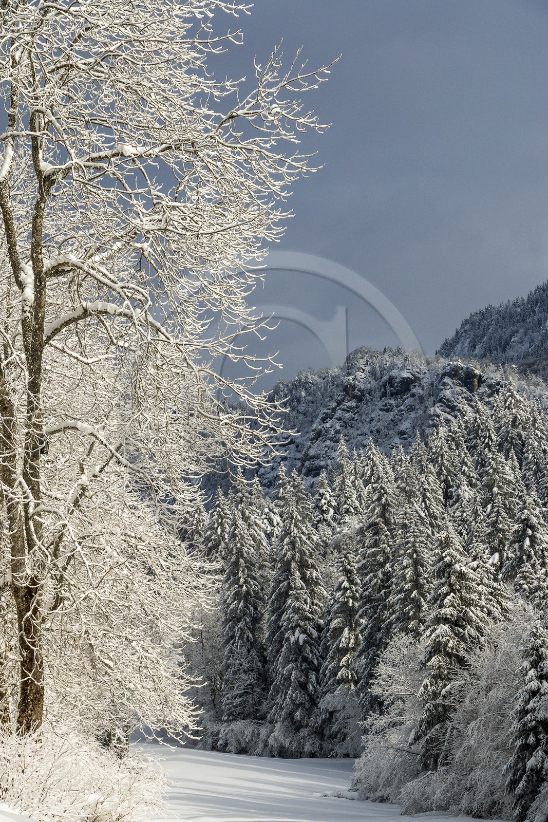 ENS de l'Isère, Les Ecouges ENS de l'Isère, Les Ecouges