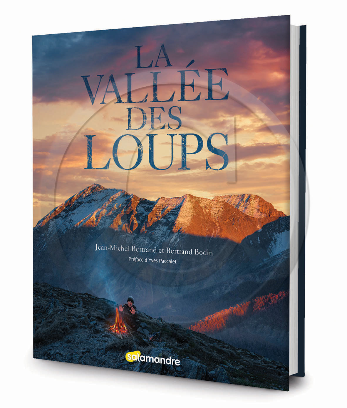 Livre : La vallée des loups