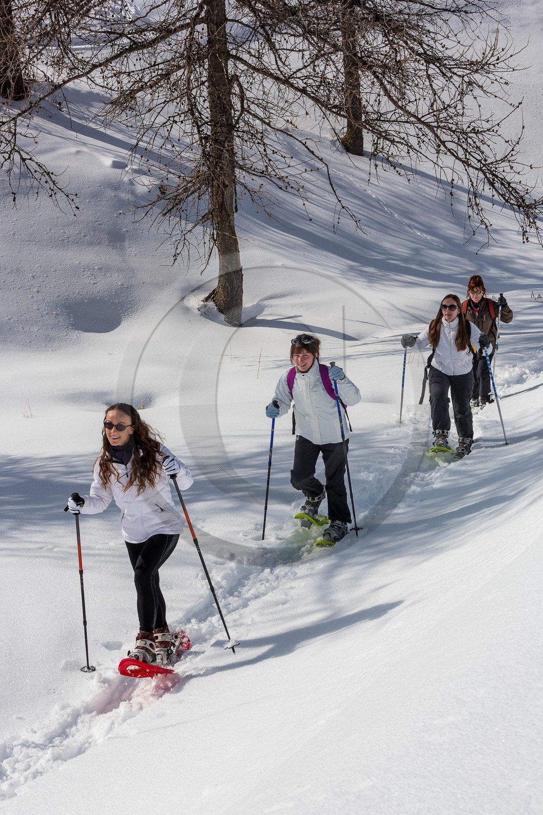 vallée de l'Ubaye, randonnée en raquettes à neige