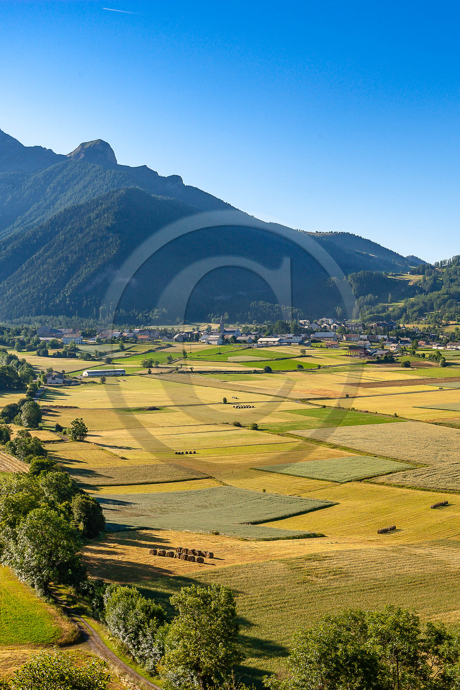 Ancelle