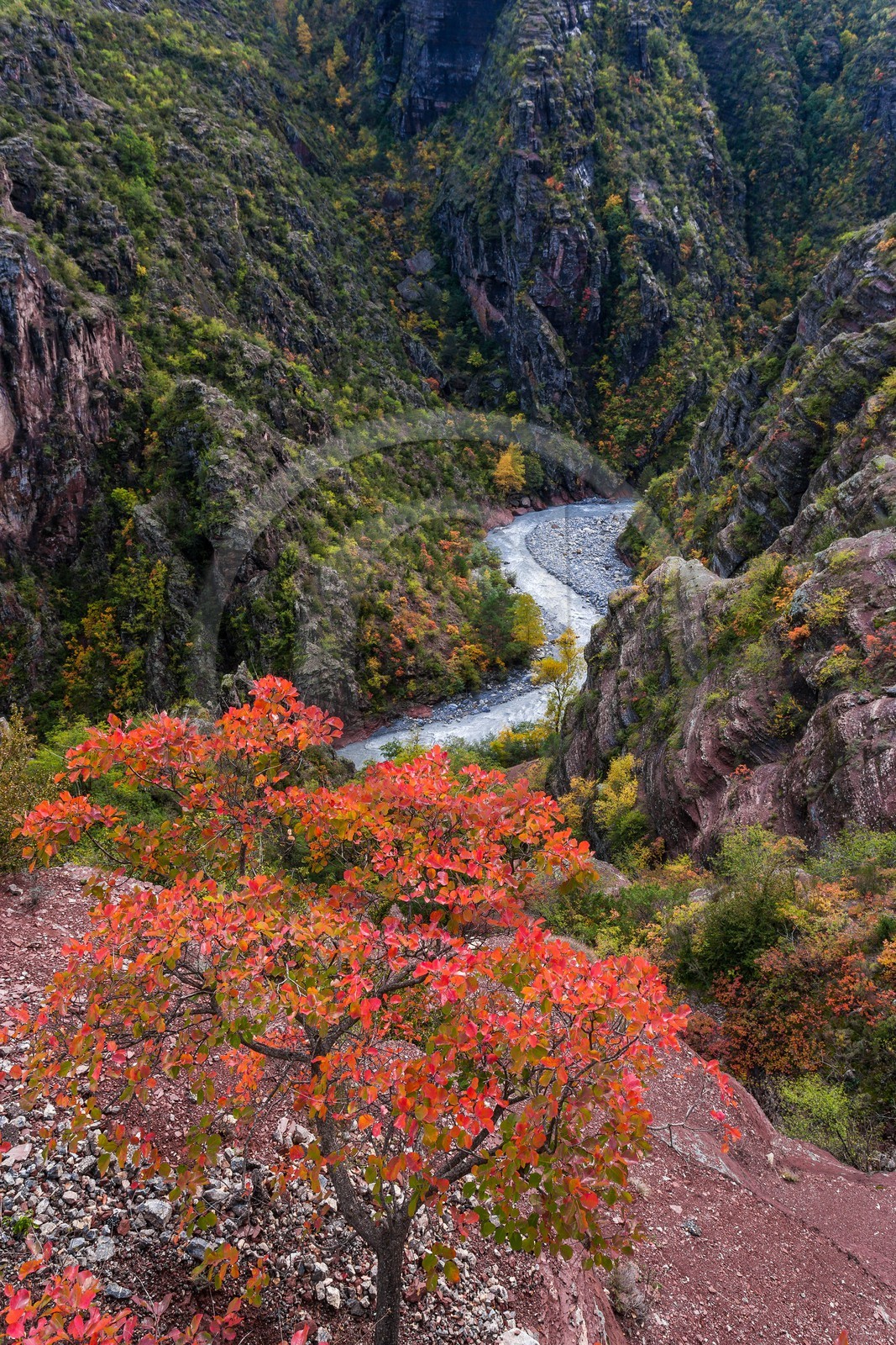 Gorges de Daluis
