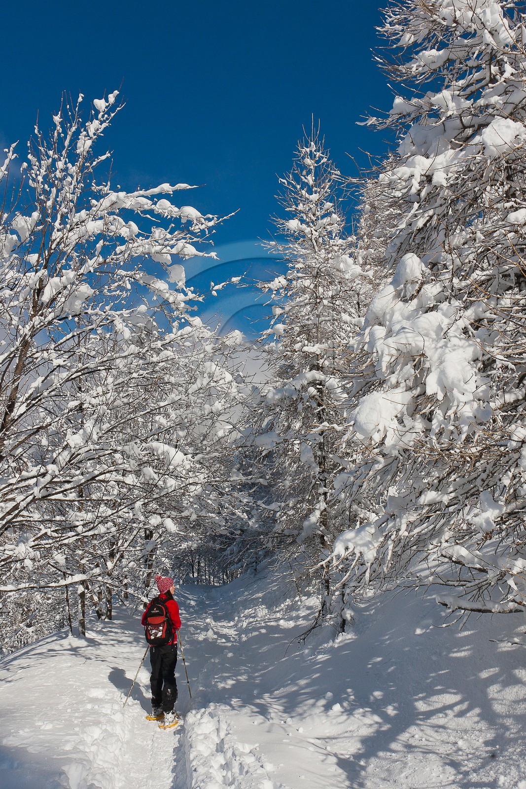 Randonnée raquettes