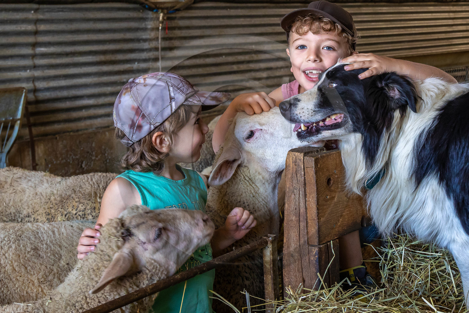 Ferme des Bichoux