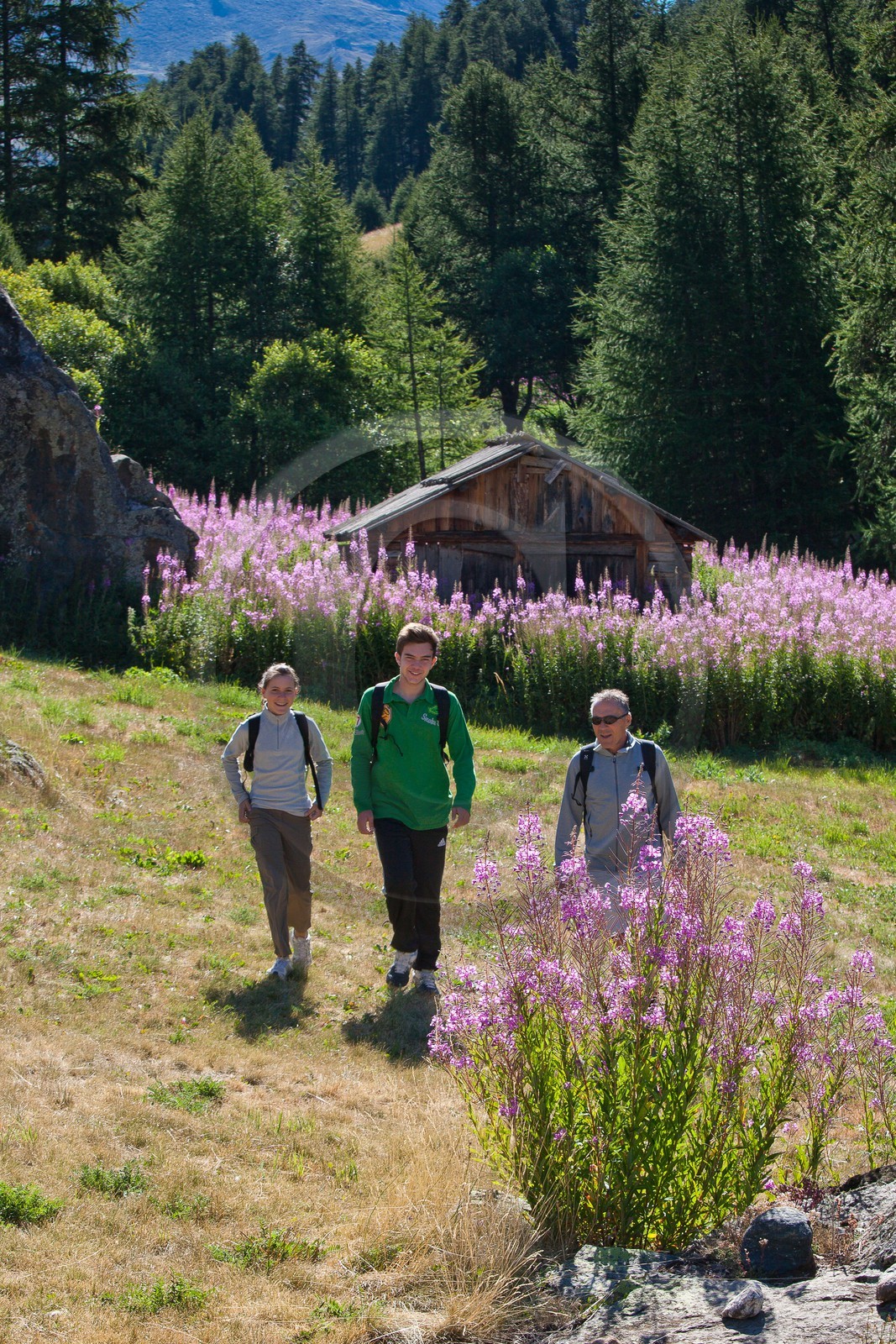 Randonnée montagne
