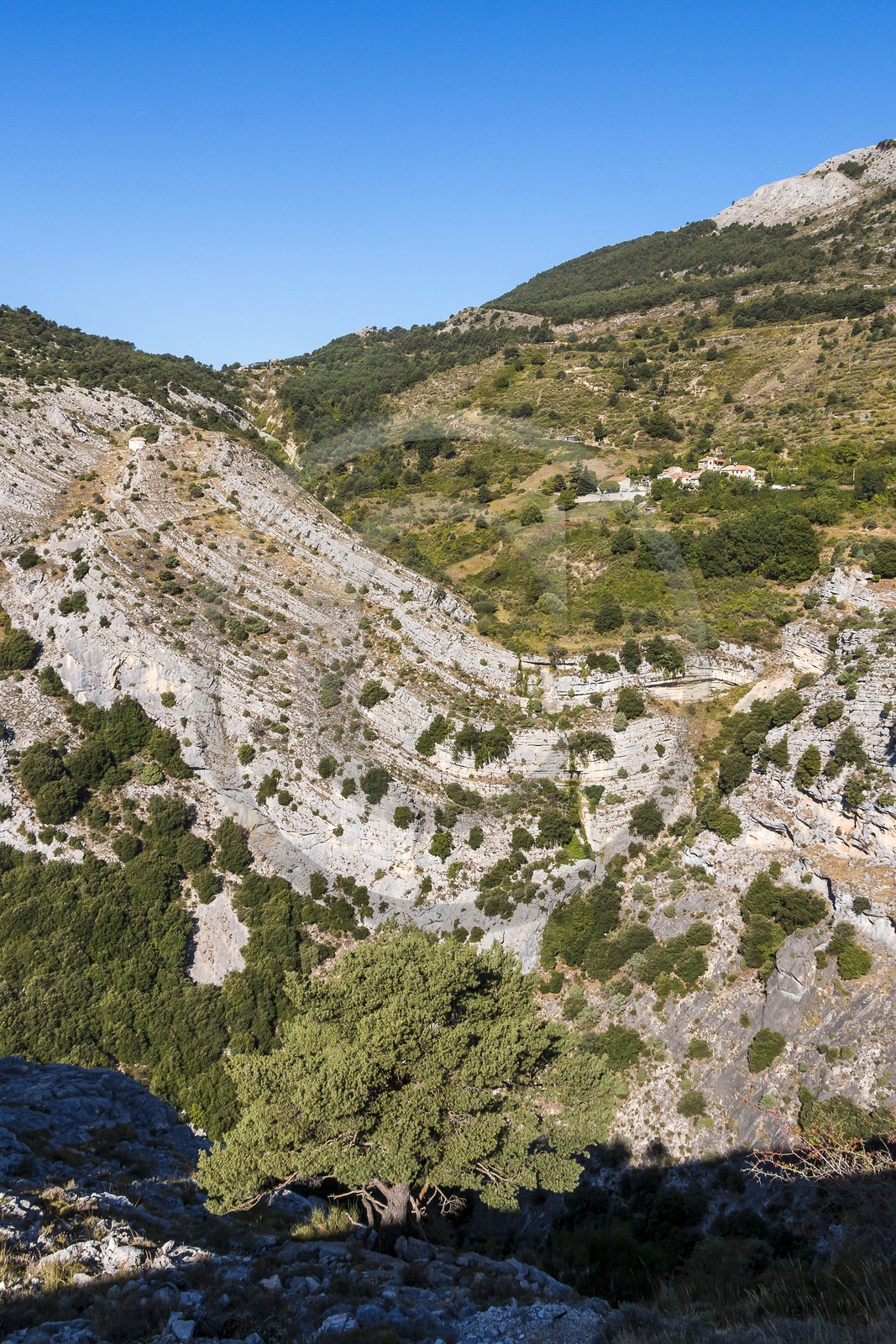 Escragnolles