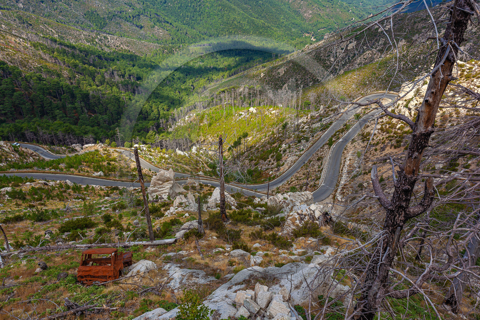 Col de Vergio