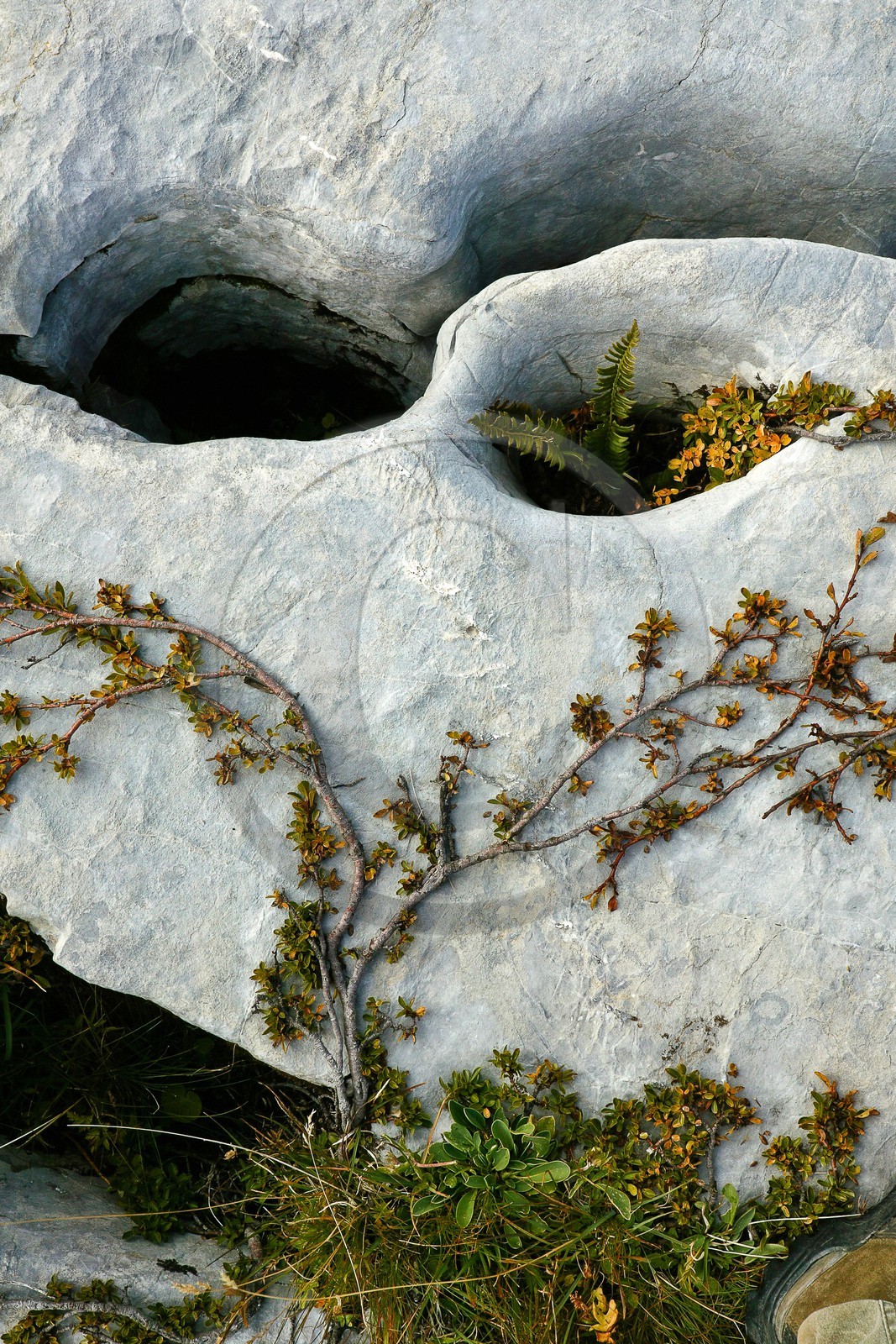 Désert de Platé, le Dérochoir et le Mont-Blanc