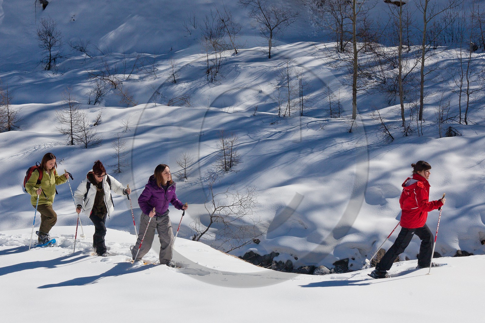 Randonnée raquettes