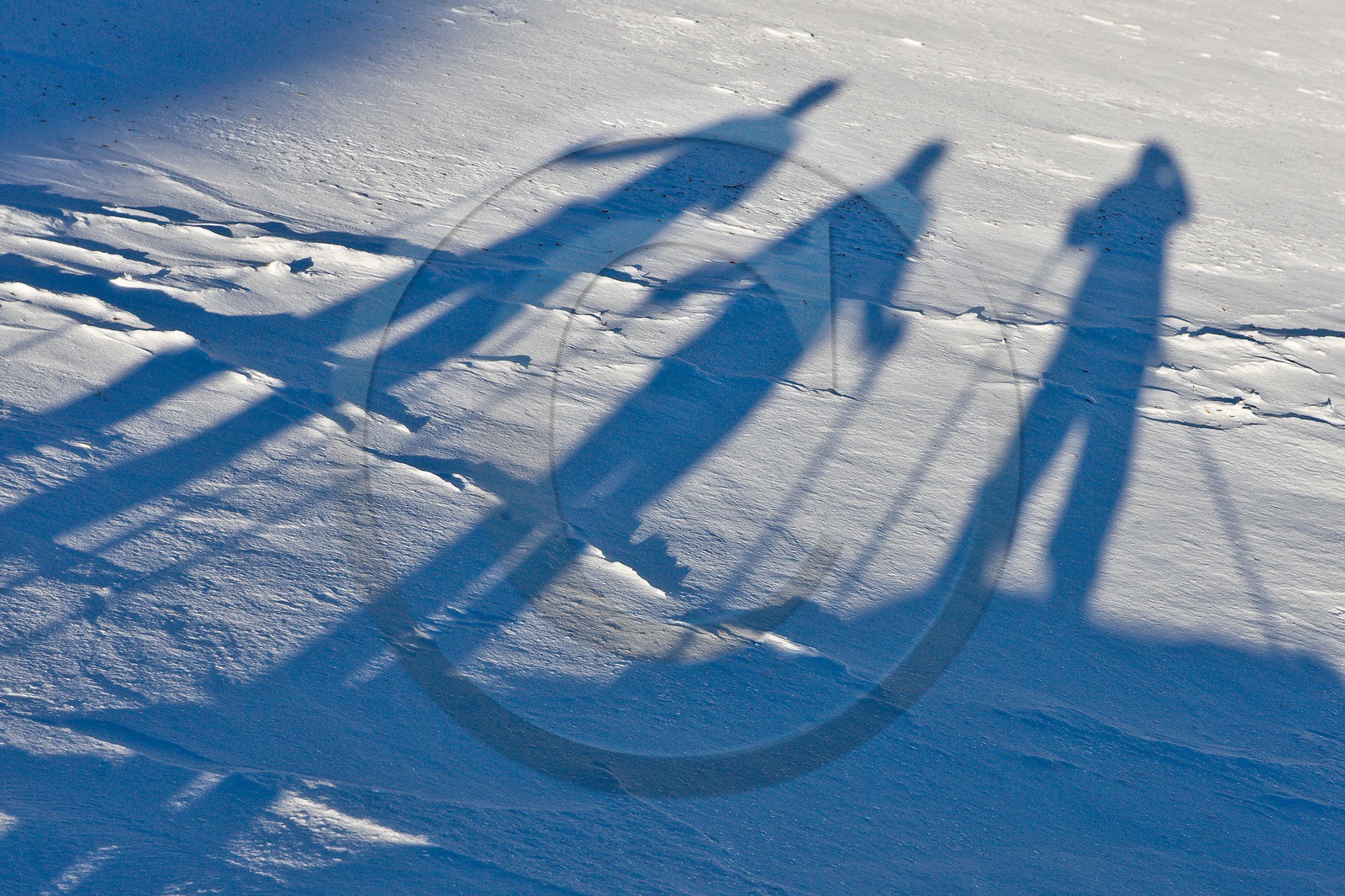 Randonnée raquettes