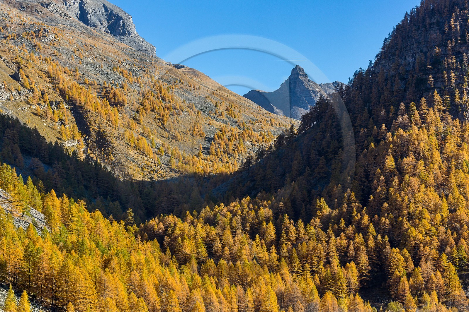 Jausiers, vallon de Pelouse, Montagne de Bonnet-Carré, Tour des Sagnes et forêt de mélèzes à l'automne Jausiers, vallon de Pelouse, Montagne de Bonnet-Carré, Tour des Sagnes et forêt de mélèzes à l'automne