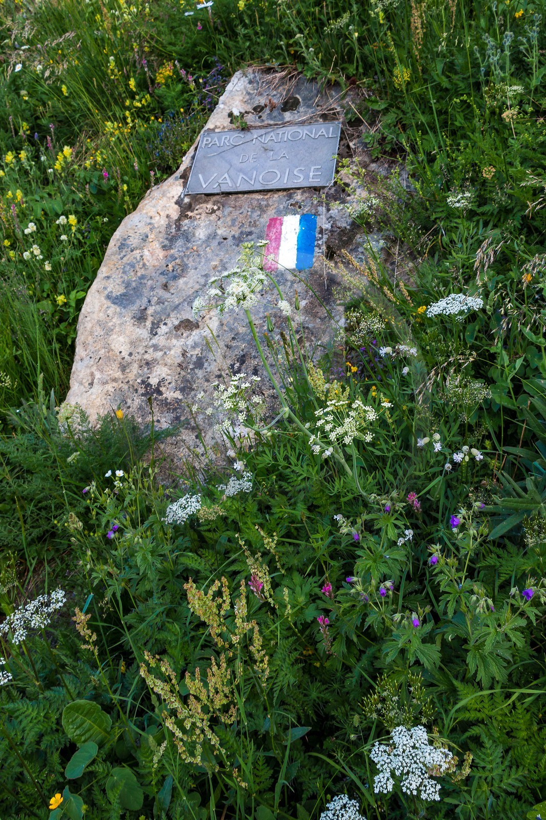 Col de l'Iseran