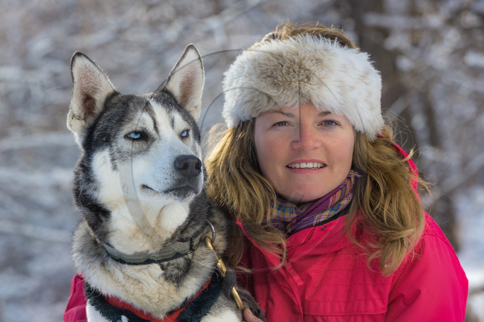 La Condamine-Châtelard, Sainte-Anne la Condamine, Coralie Bonnerot et ses chiens de traineau