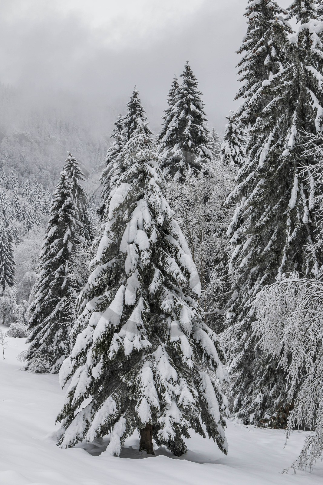 ENS de l'Isère, Les Ecouges ENS de l'Isère, Les Ecouges