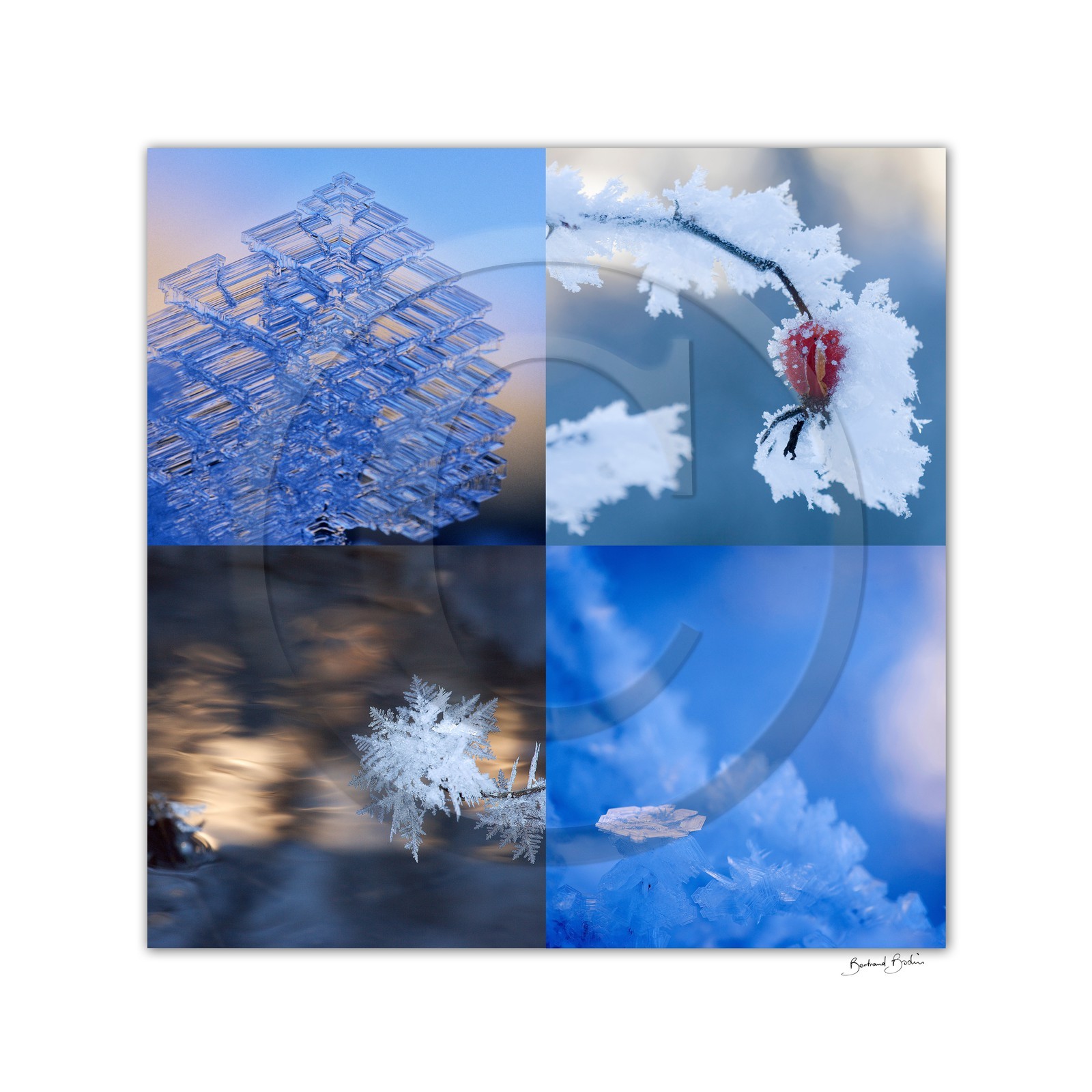 Givre_60_x_60