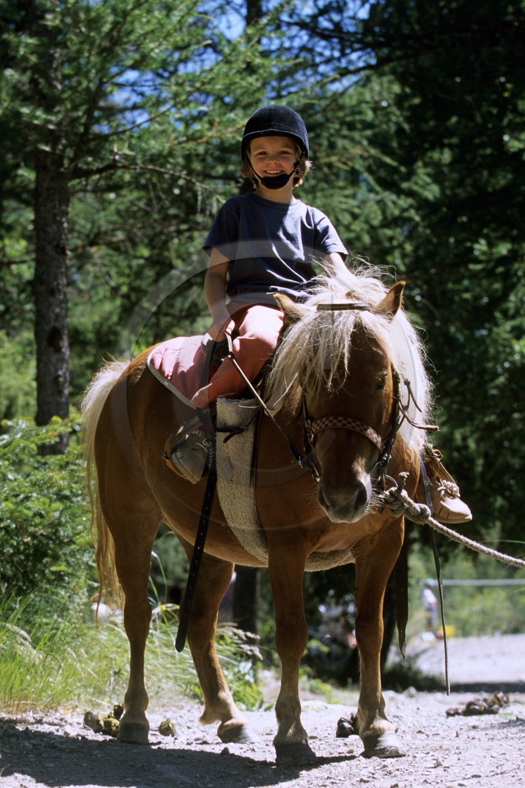 Poney