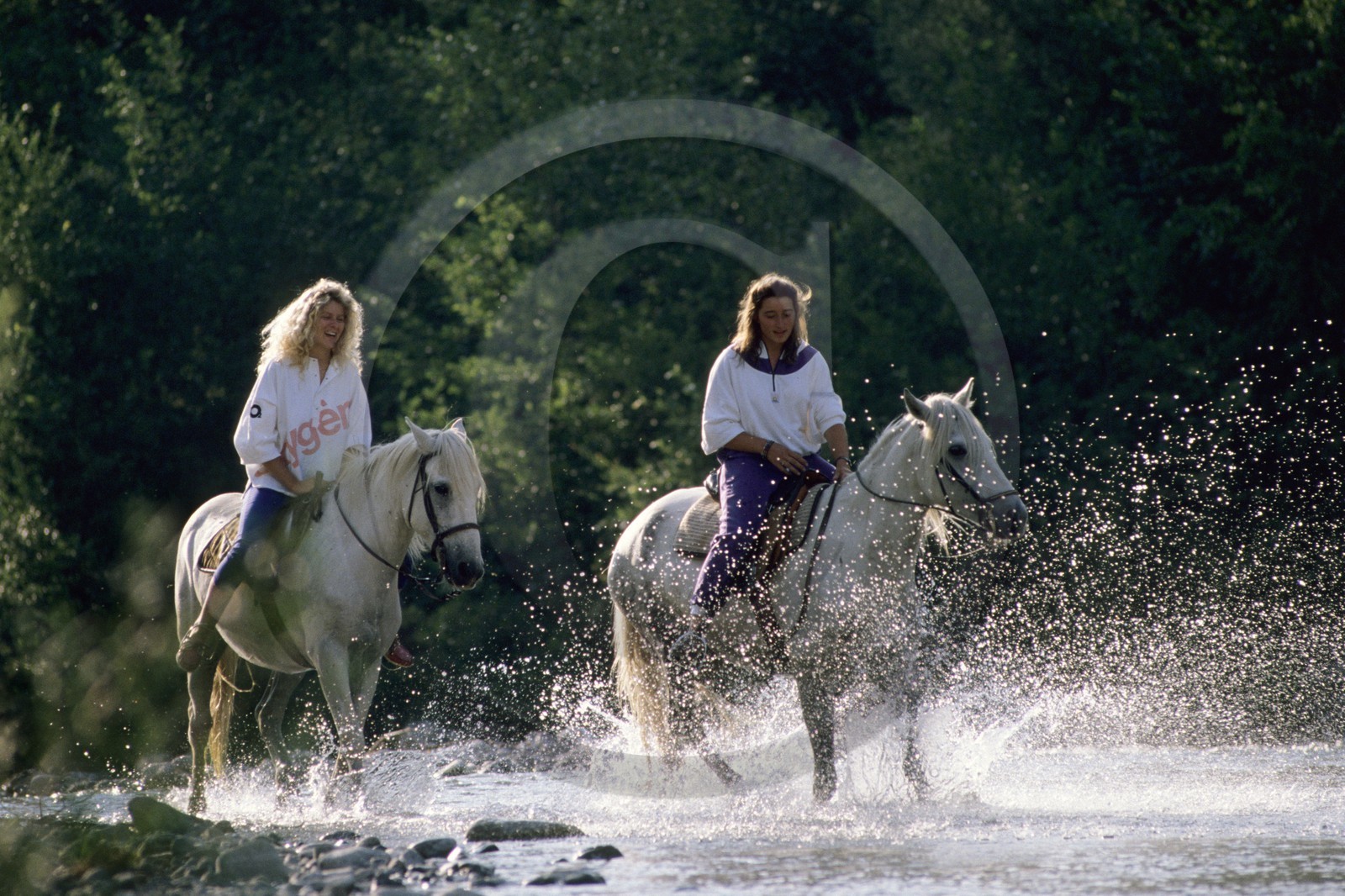 Equitation