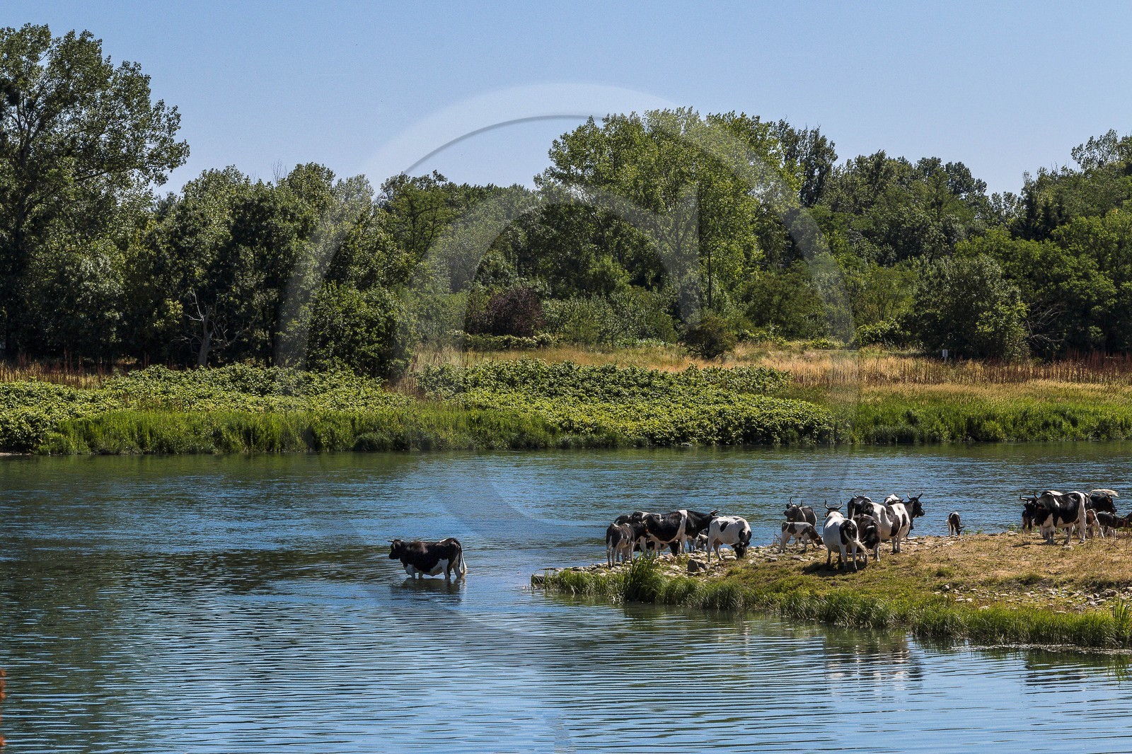 ENS de l'Isère, , le méandre des Oves ENS de l'Isère, , le méandre des Oves