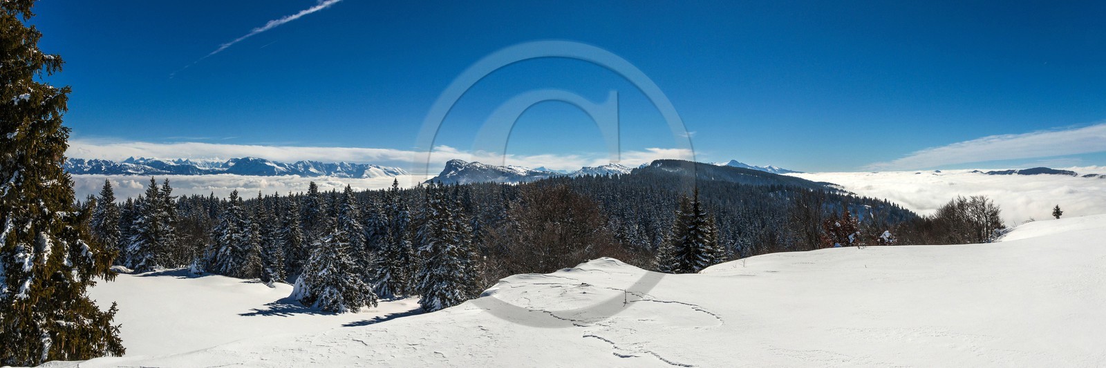 ENS de l'Isère, Plateau de la Molière et du Sornin