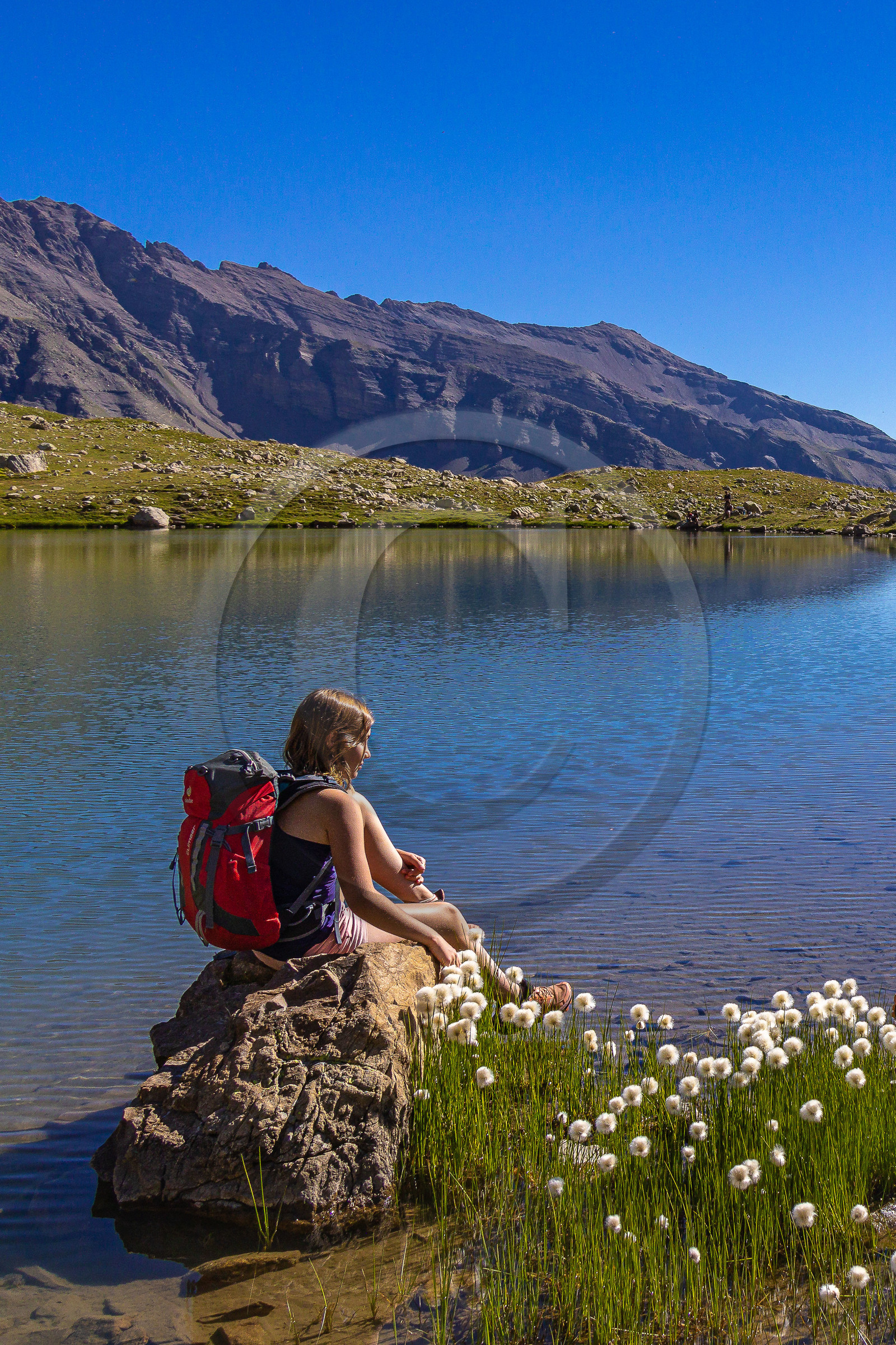 Lac Palluel