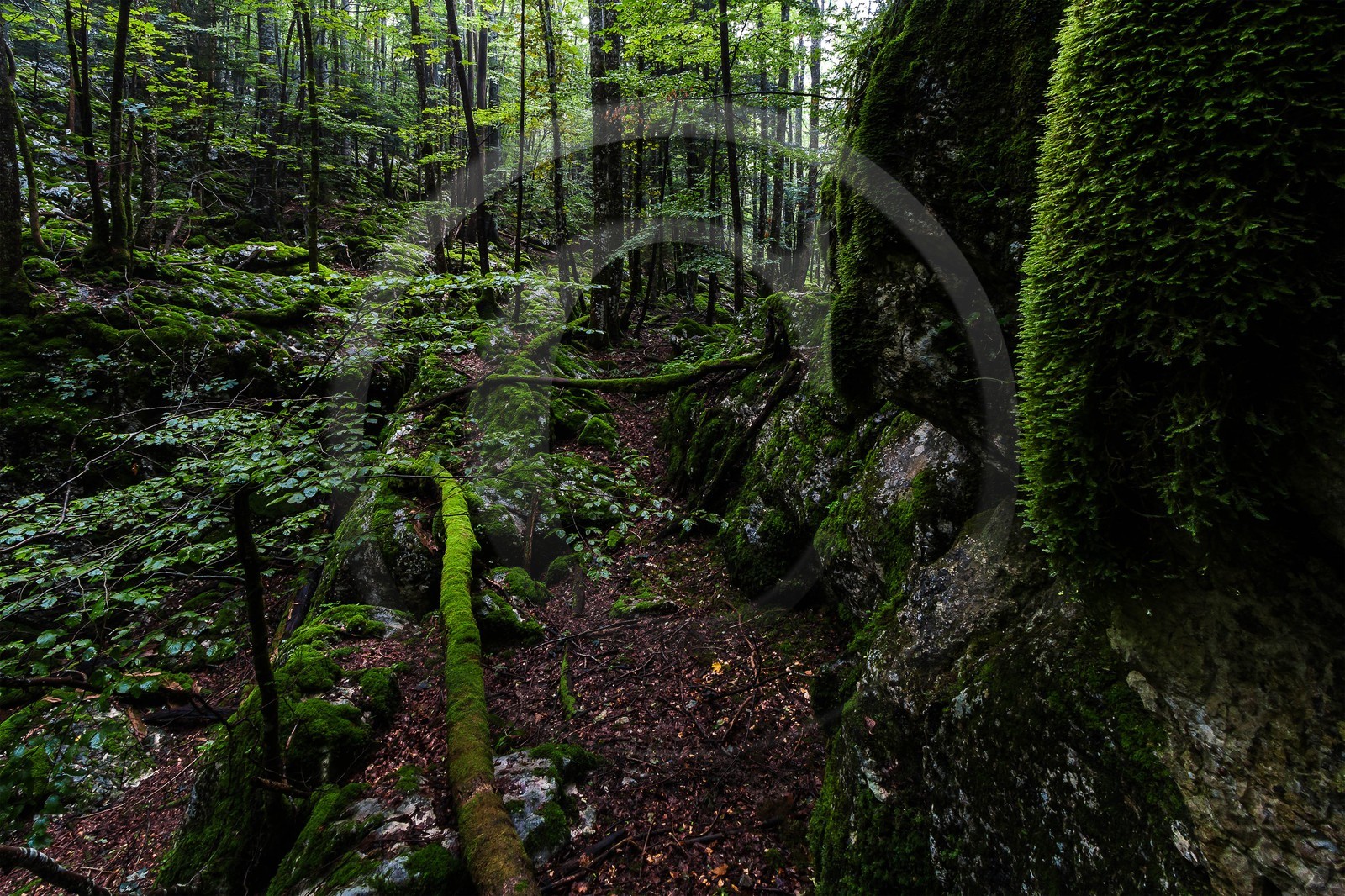 ENS de l'Isère, Les Ecouges ENS de l'Isère, Les Ecouges