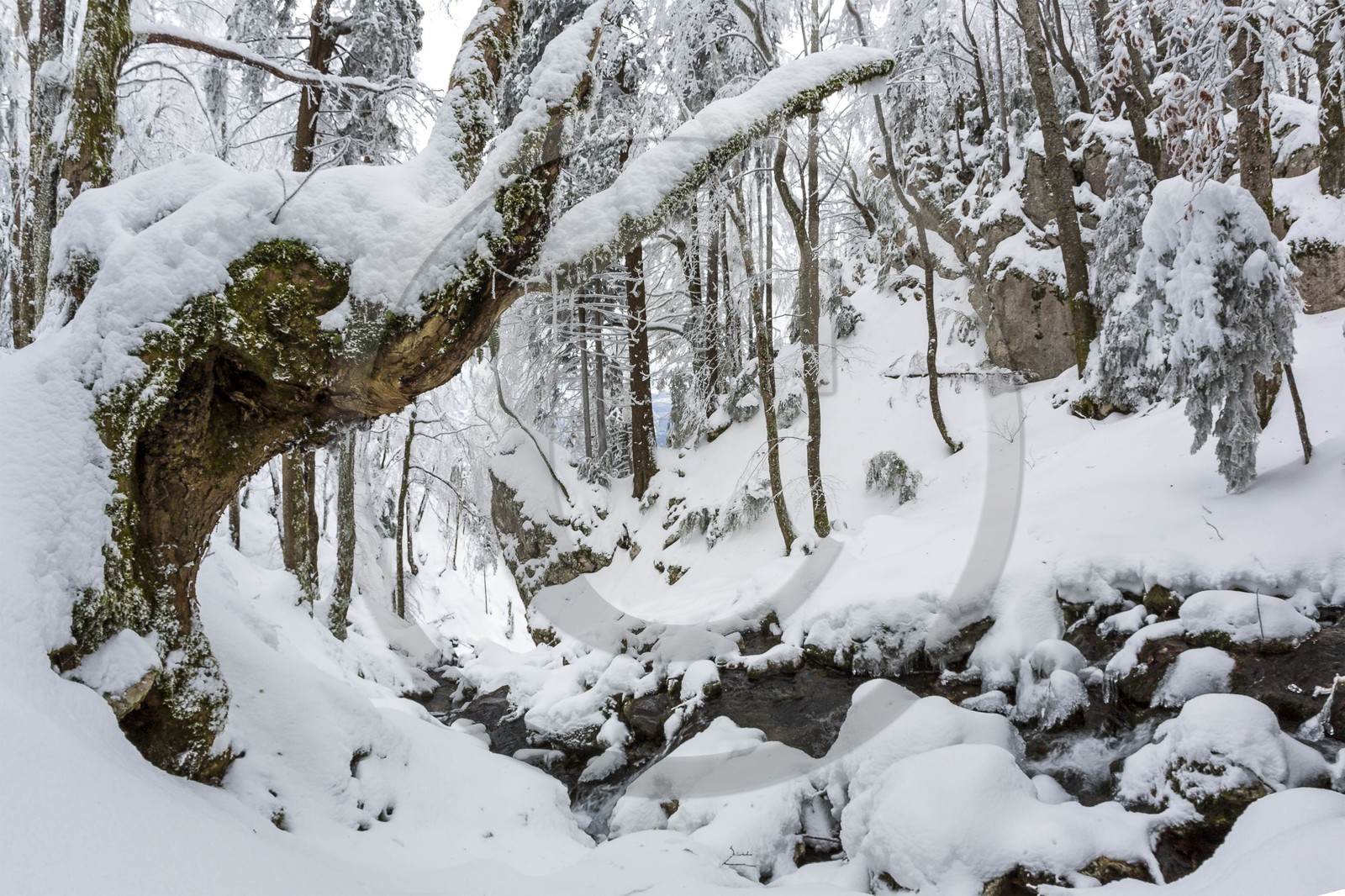 ENS de l'Isère, Les Ecouges ENS de l'Isère, Les Ecouges