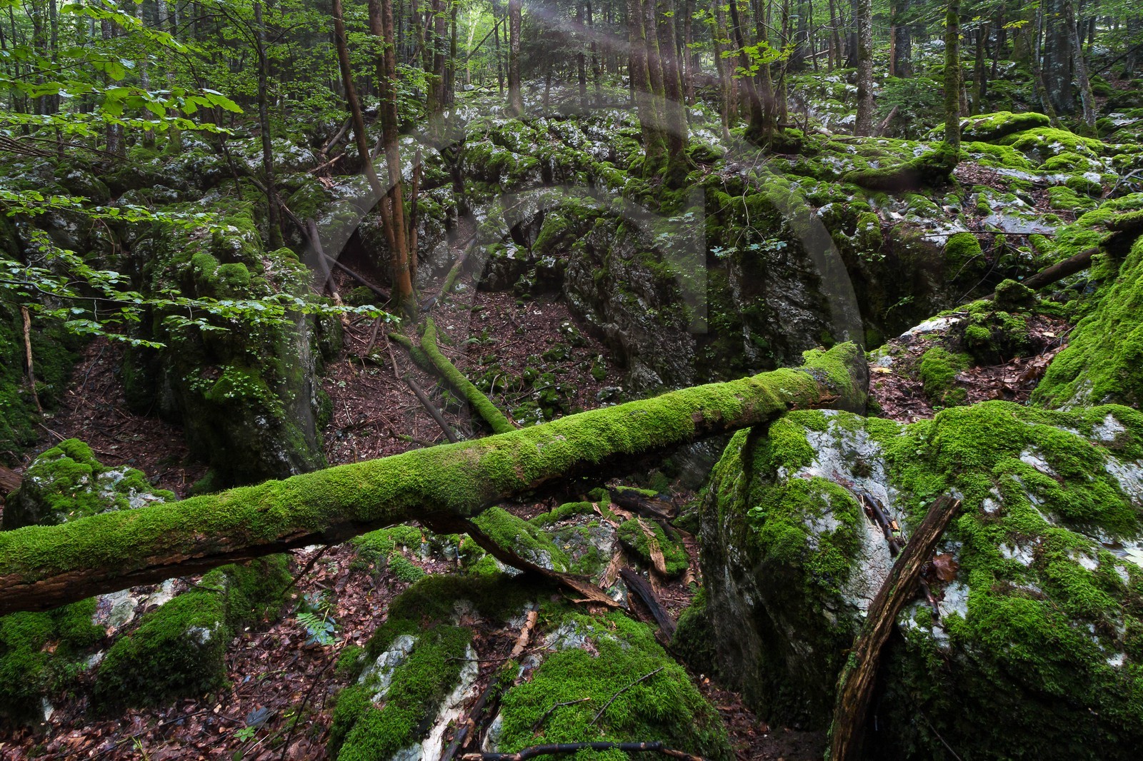 ENS de l'Isère, Les Ecouges ENS de l'Isère, Les Ecouges