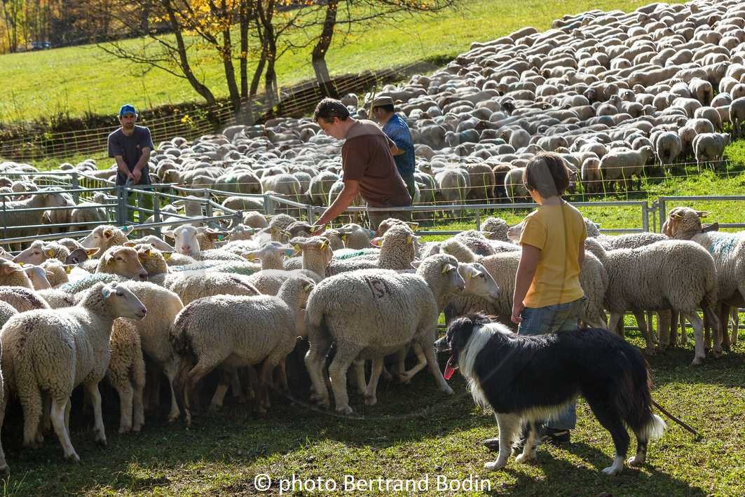Le Désert, désenmontagnage