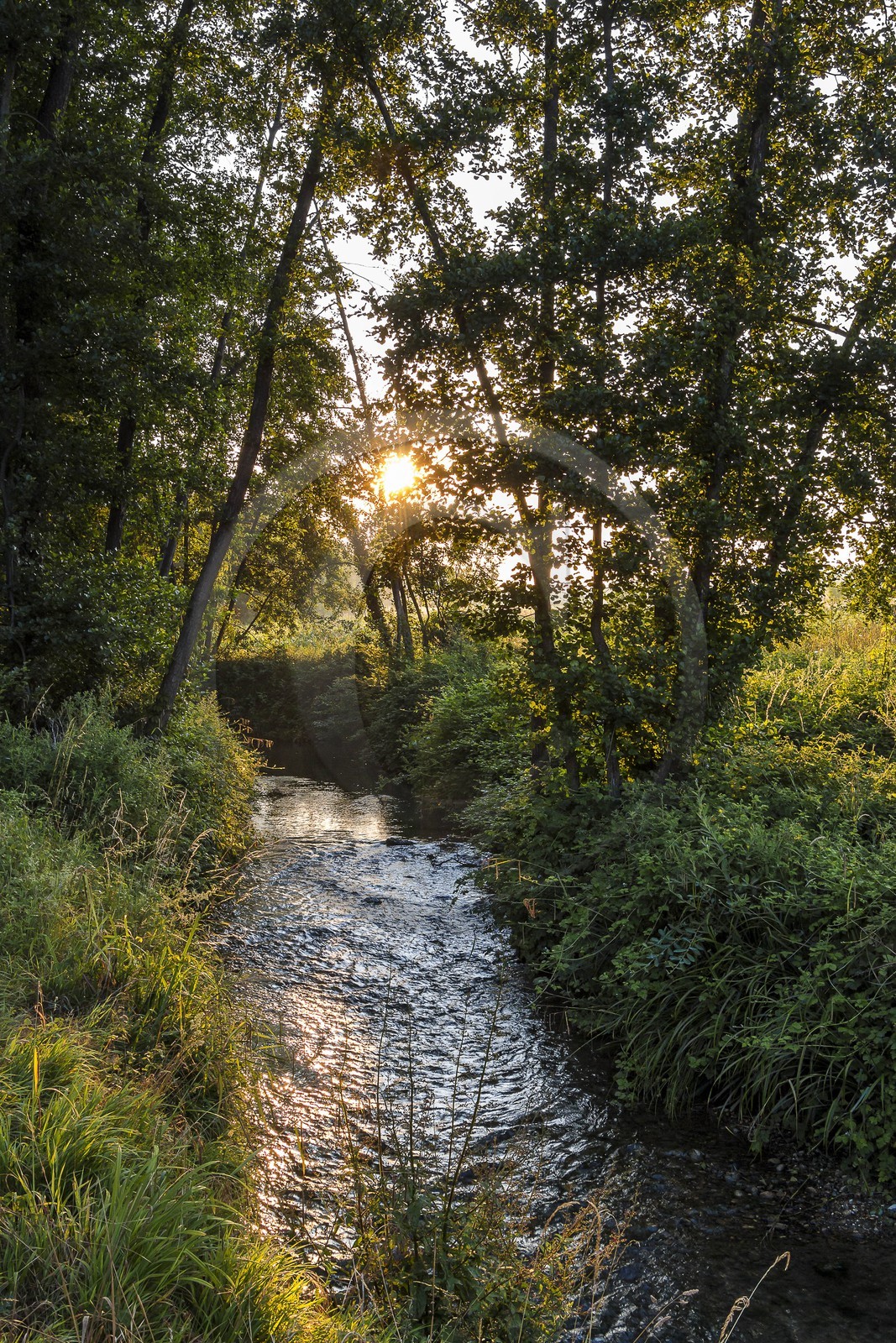 ENS de l'Isère, Prairies inondables de Pont-Évêque