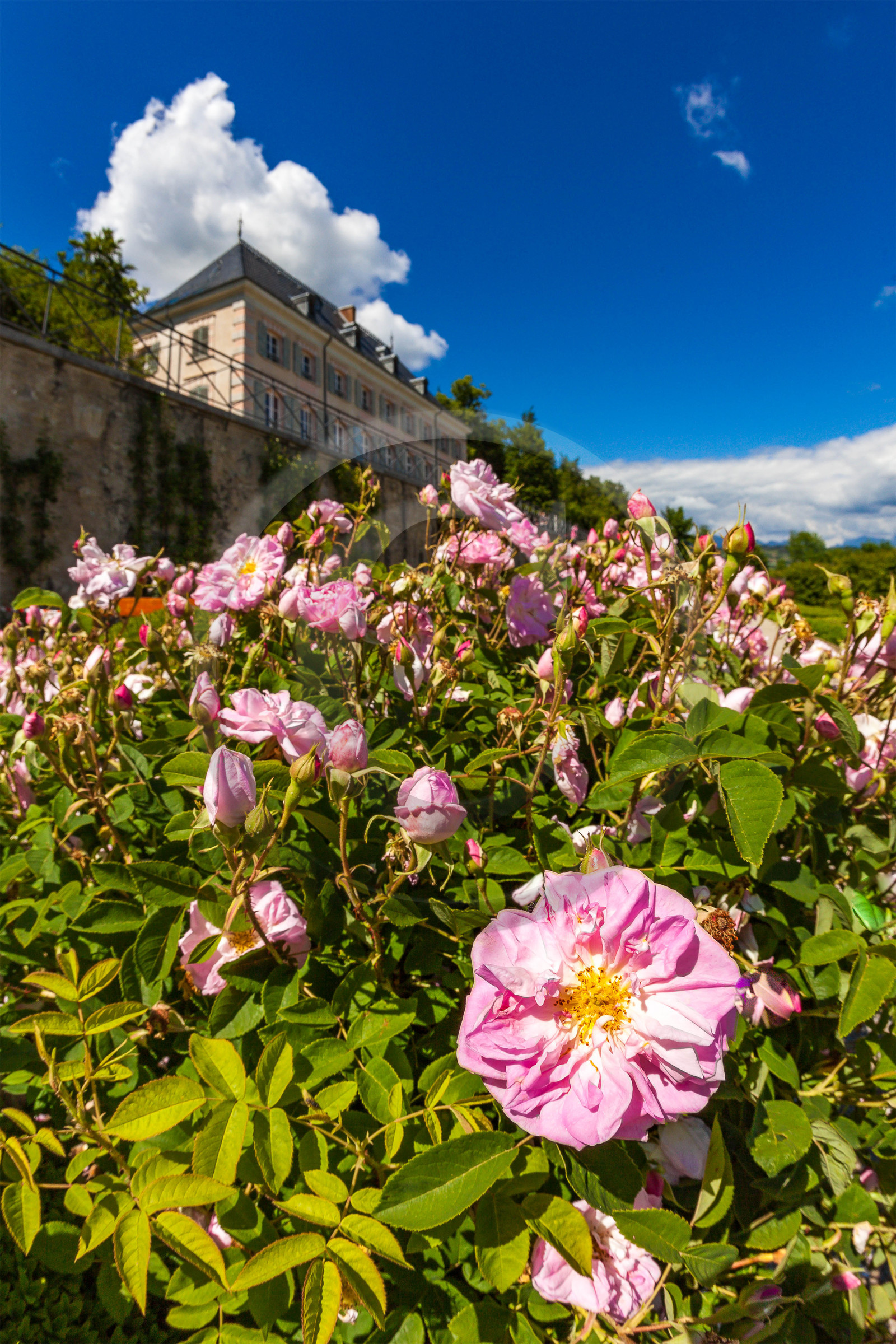 Chateau de Charance