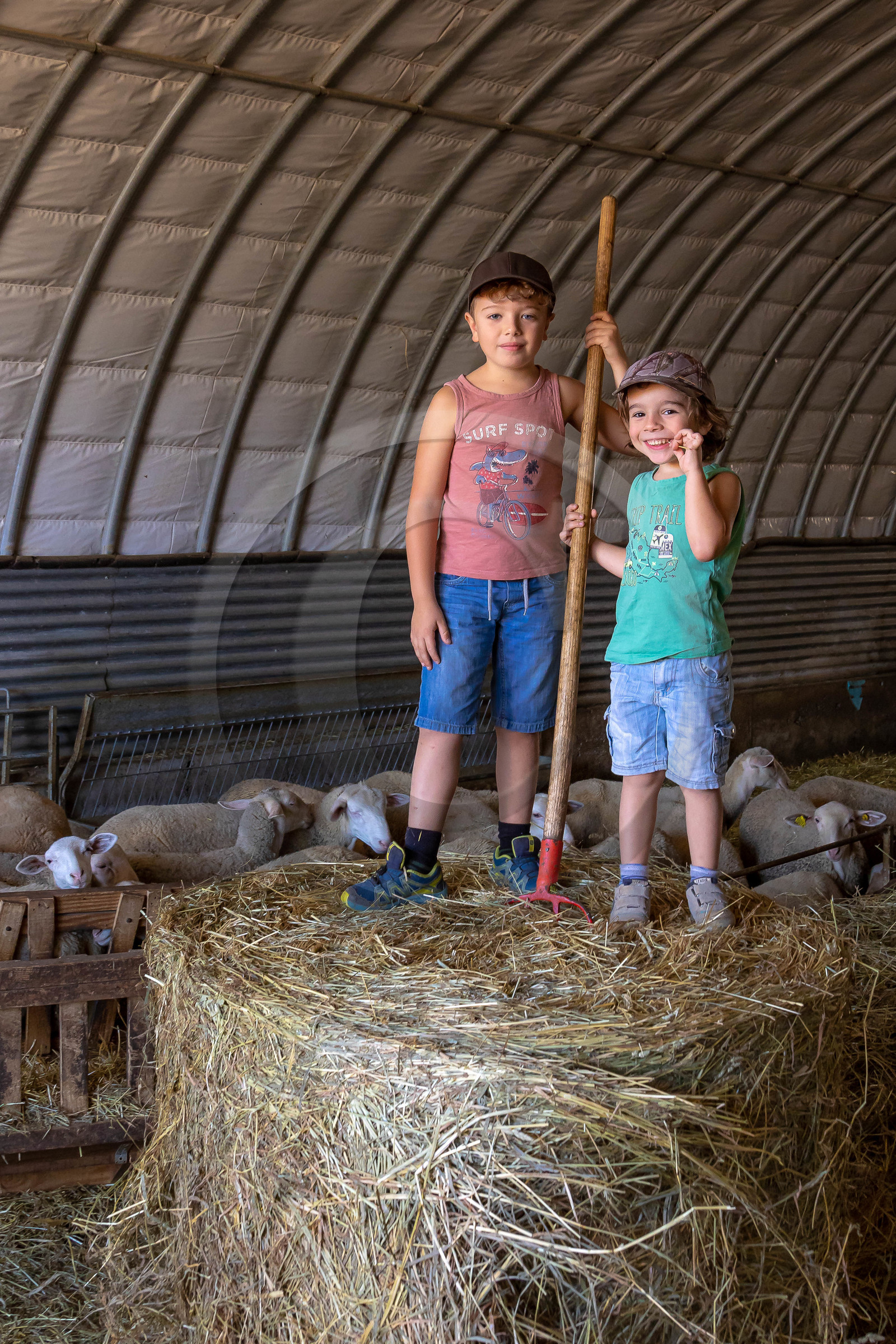 Ferme des Bichoux
