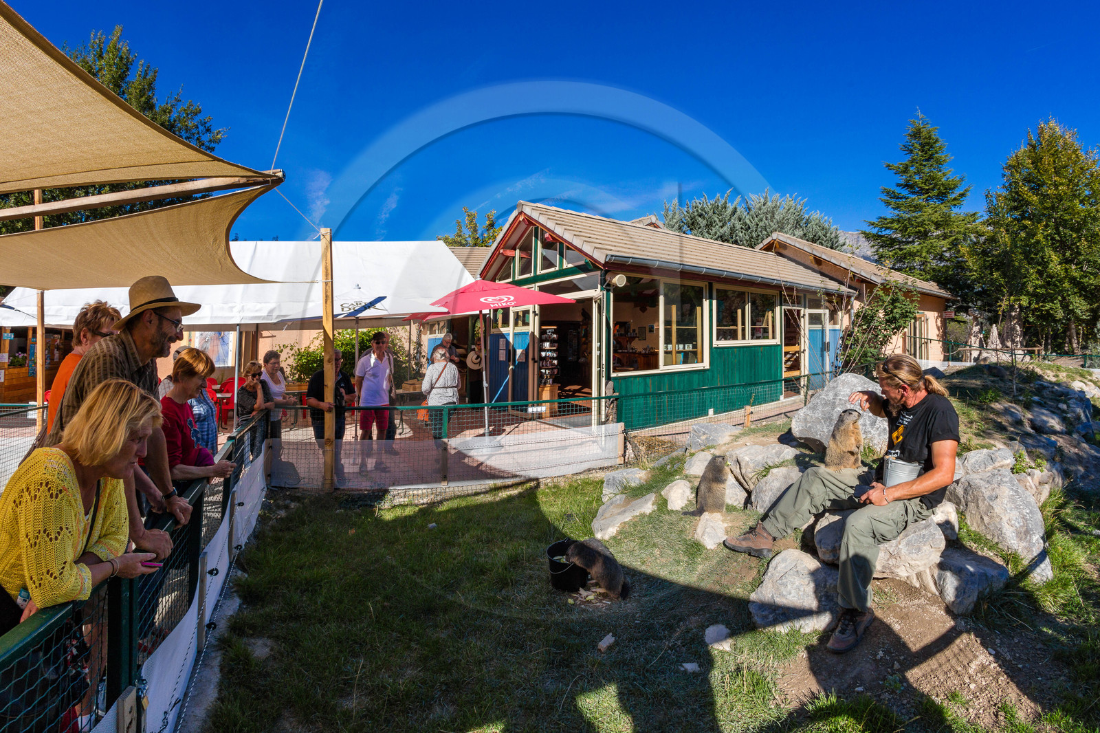 Parc animalier de Serre-Ponçon, parc aux marmottes