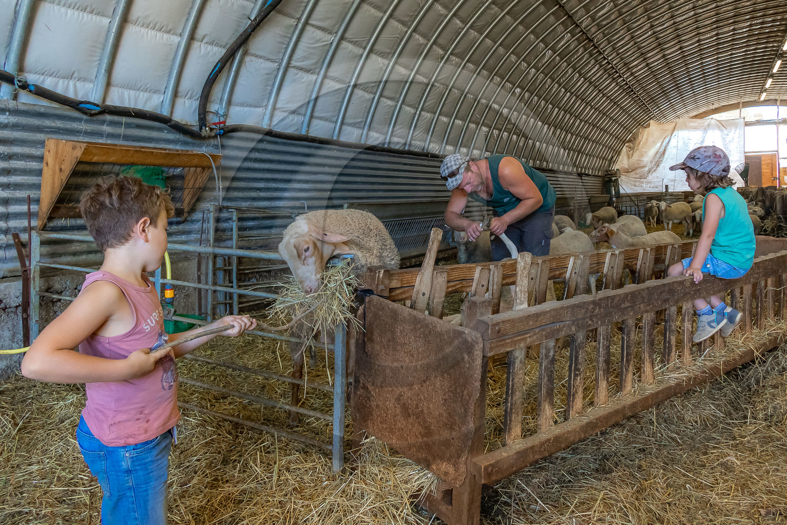 Ferme des Bichoux