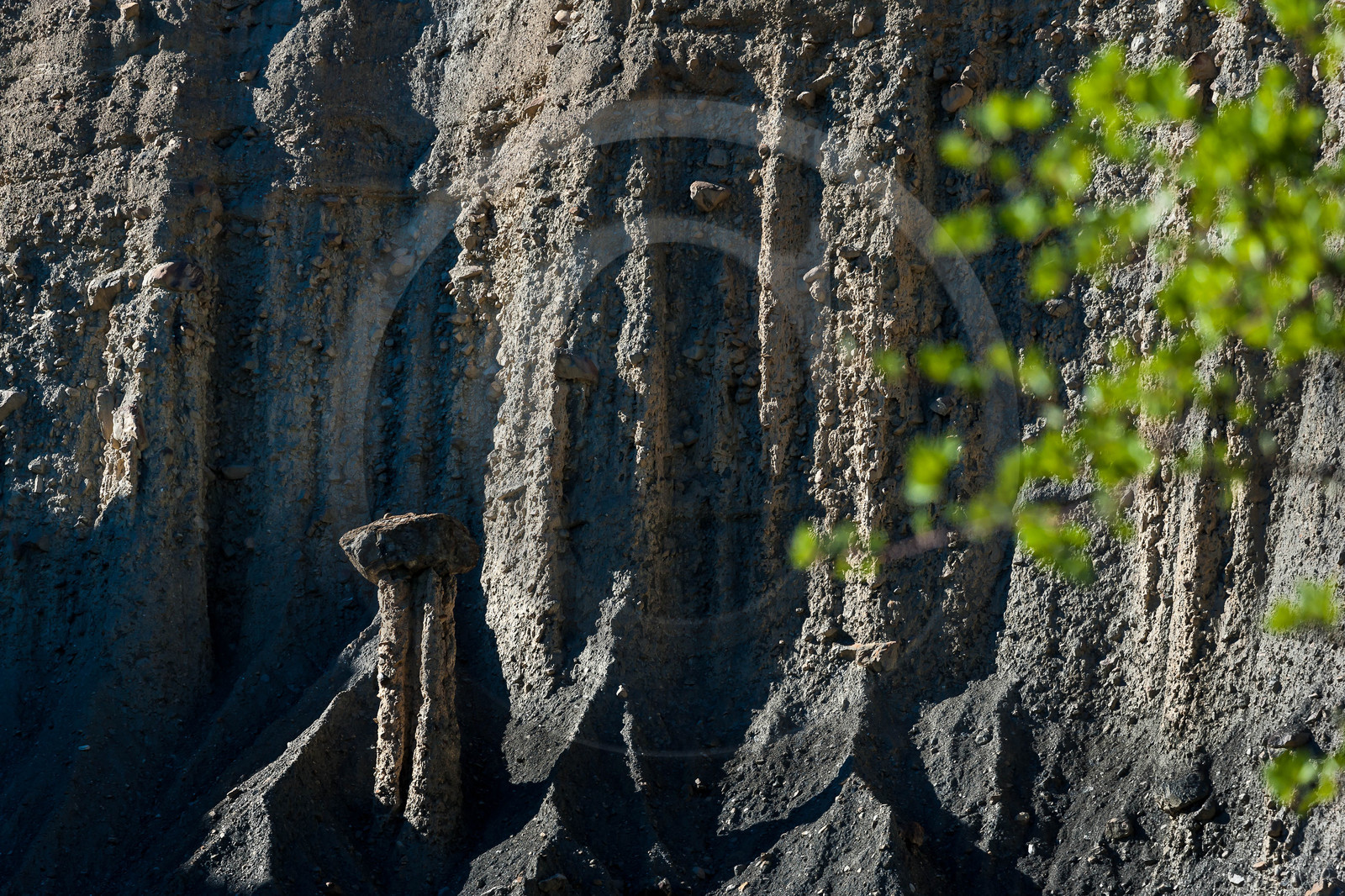 Salle de Bal des Demoiselles Coiffées