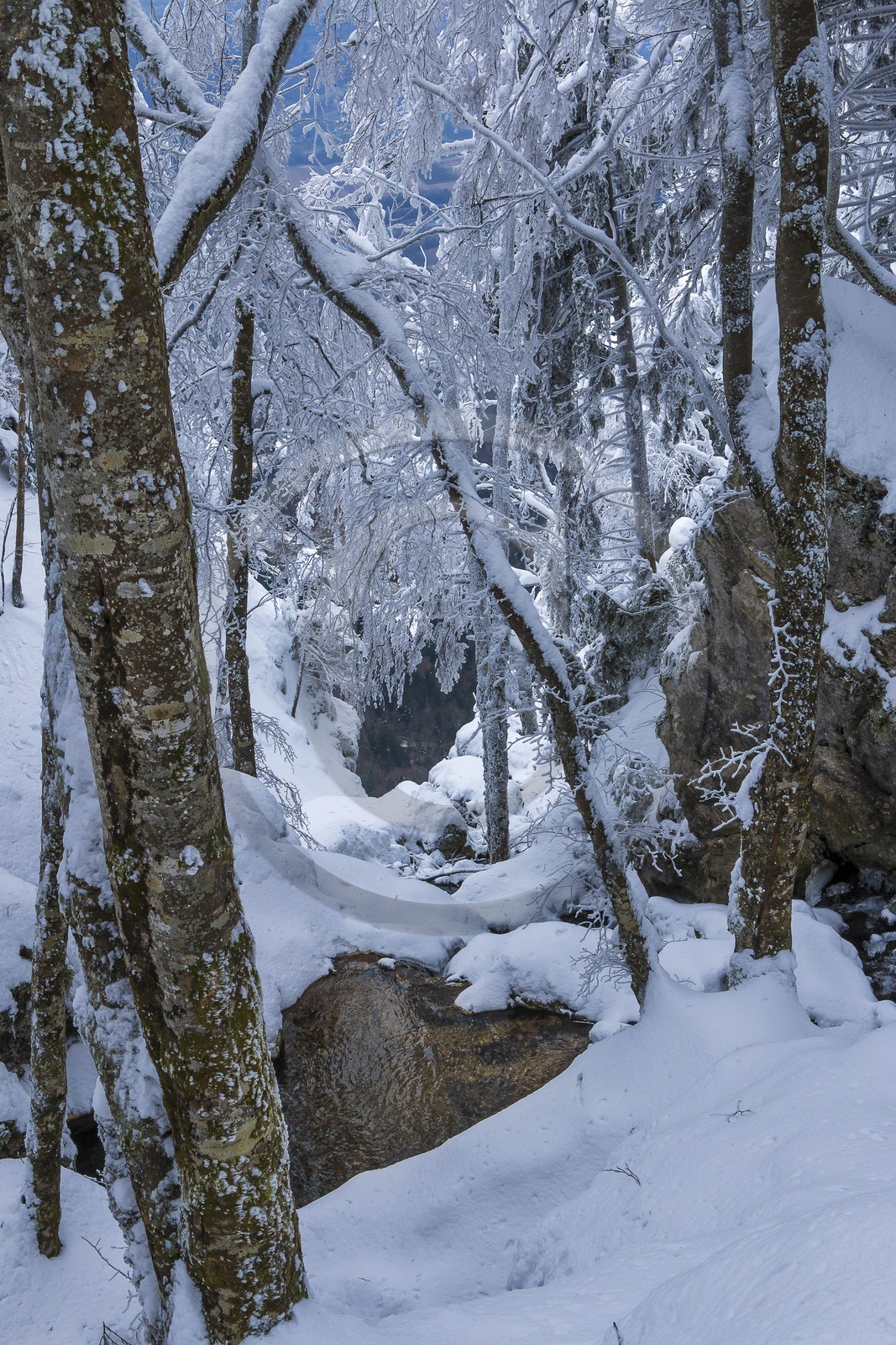 ENS de l'Isère, Les Ecouges ENS de l'Isère, Les Ecouges
